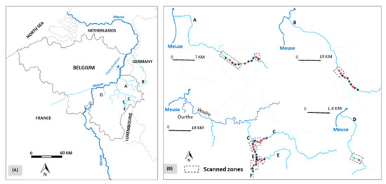 Fishes | Free Full-Text | Space and Time Use of European Eel Restocked in  Upland Continental Freshwaters, a Long-Term Telemetry Study