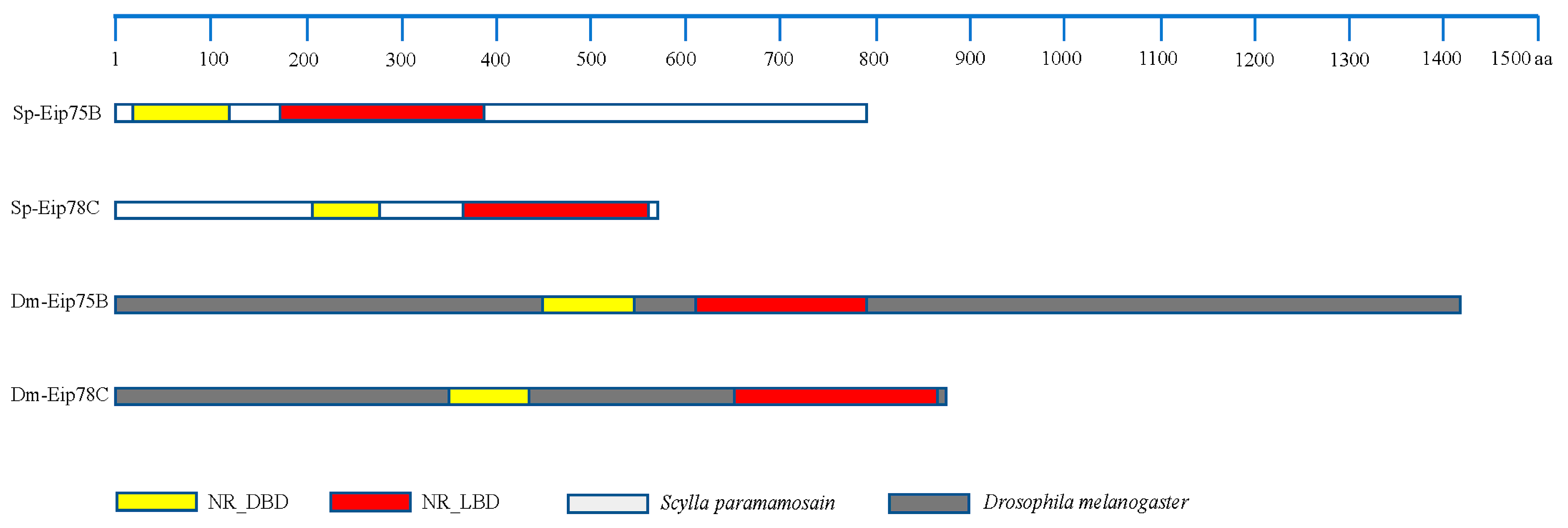 Fishes 08 00145 g007