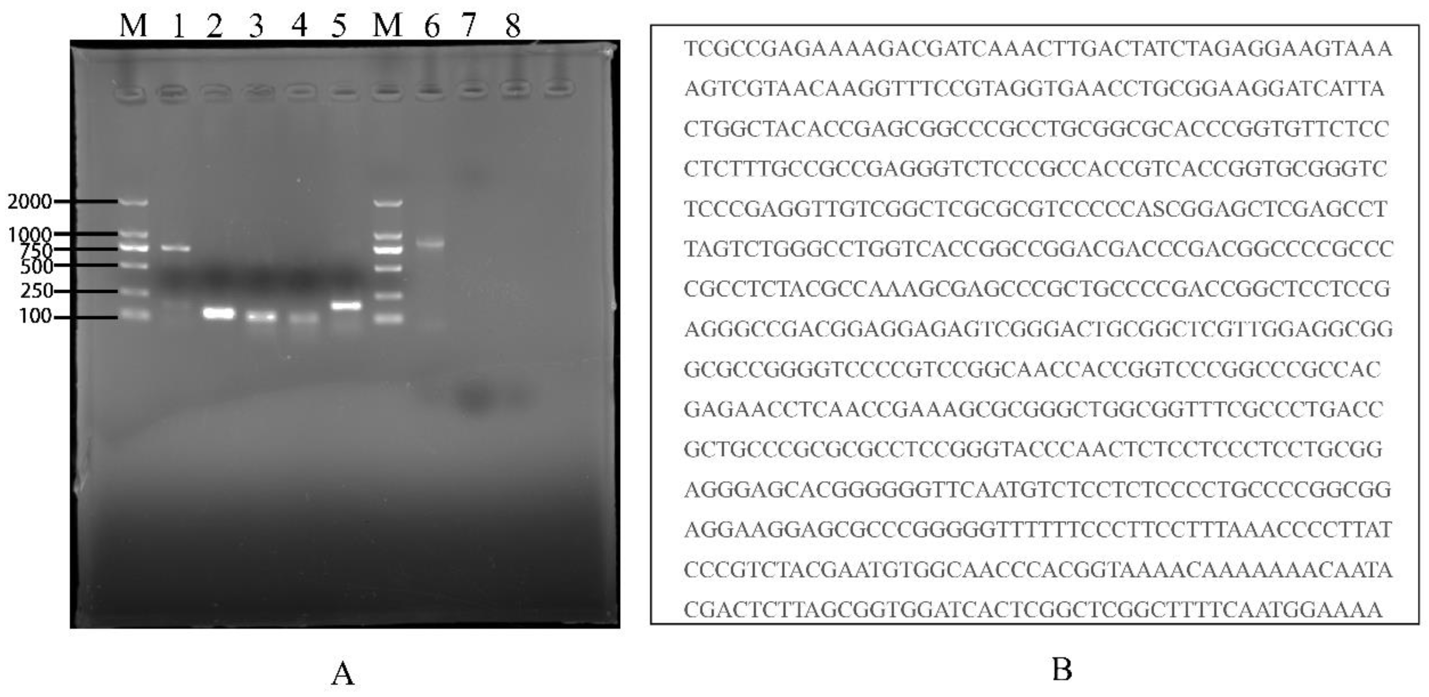 Fishes 08 00167 g004