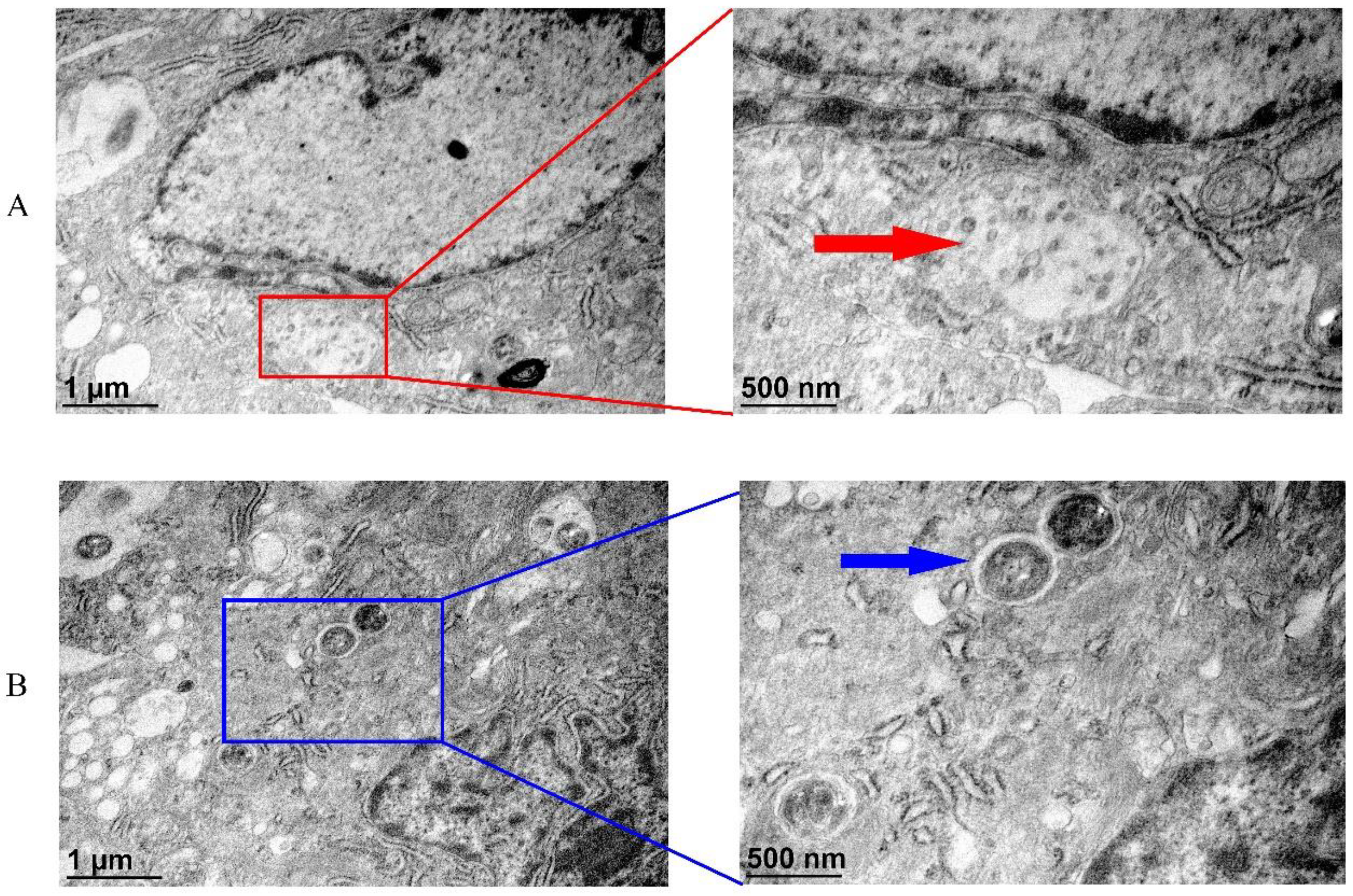 Fishes 08 00167 g007