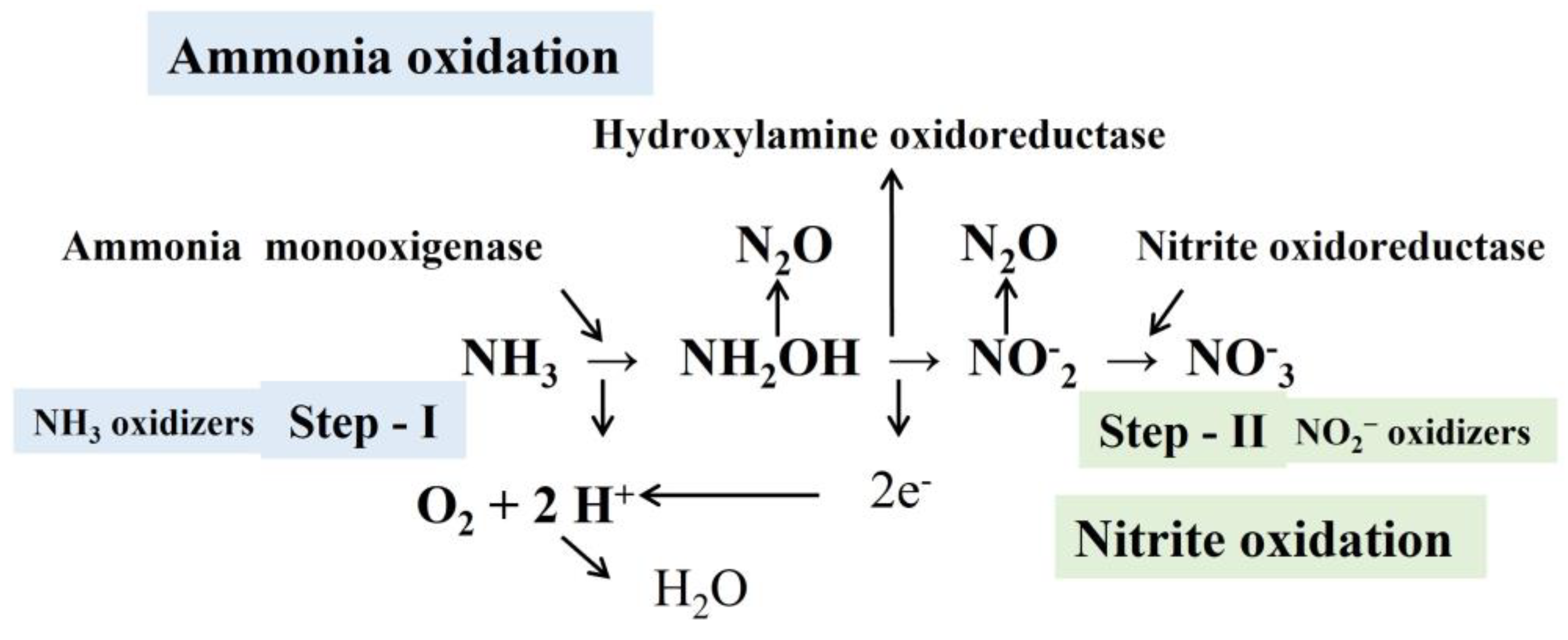 Fishes 08 00176 g001