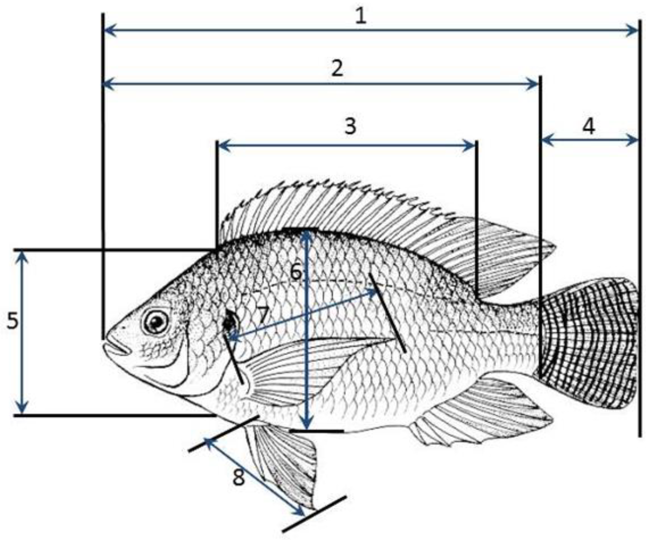 Fishes 08 00217 g002 Fishes 08 00217 g002