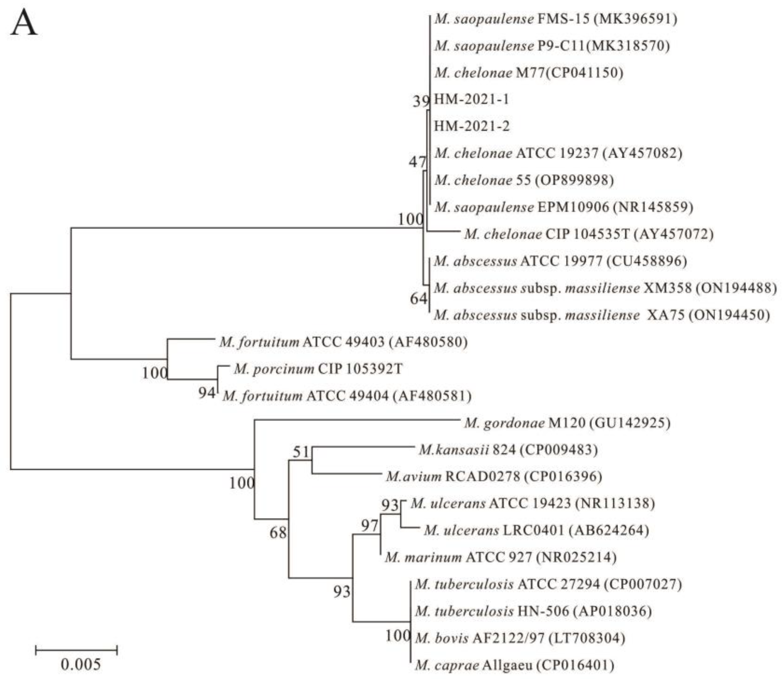Fishes 08 00225 g003a