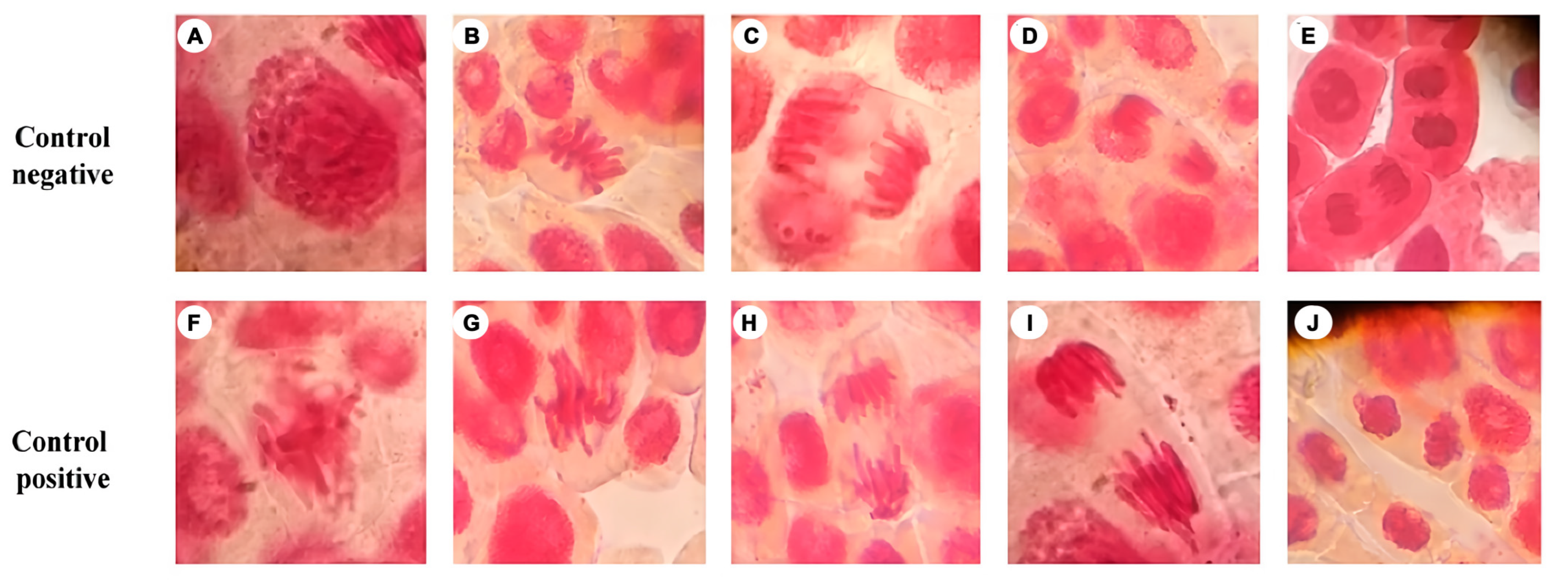 Fishes 08 00246 g002 Fishes 08 00246 g002