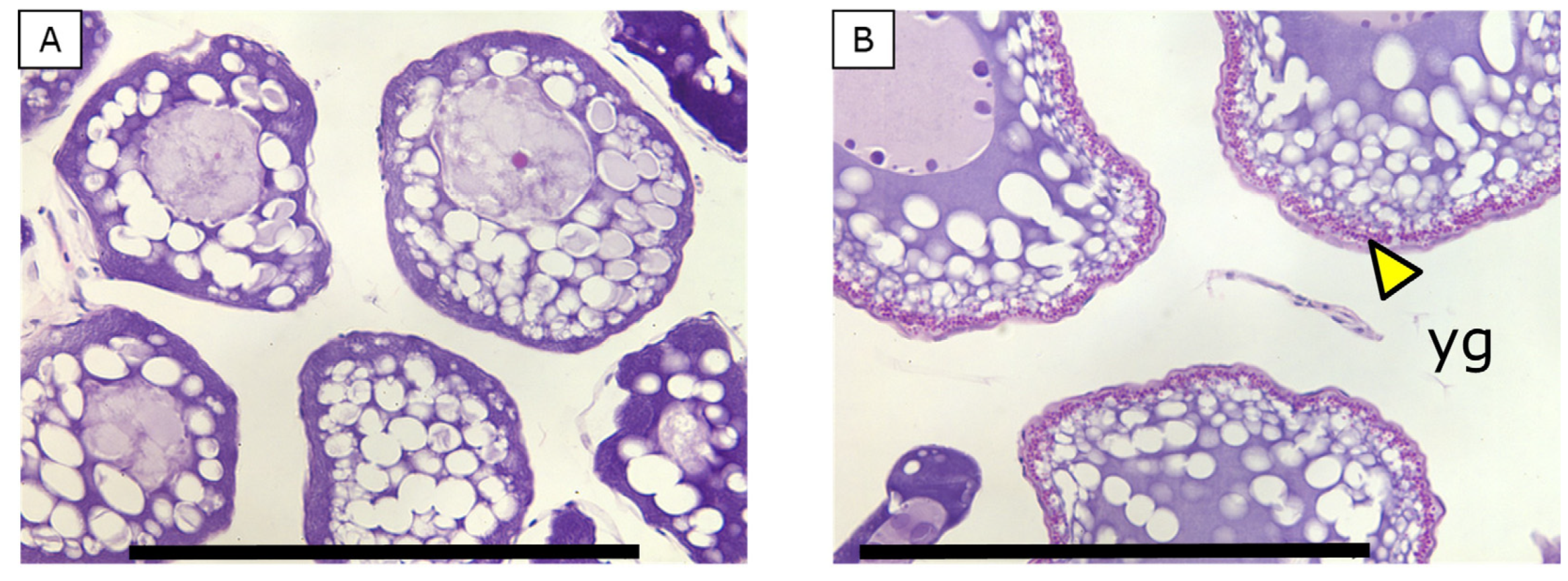 Fishes 08 00281 g005 Fishes 08 00281 g005