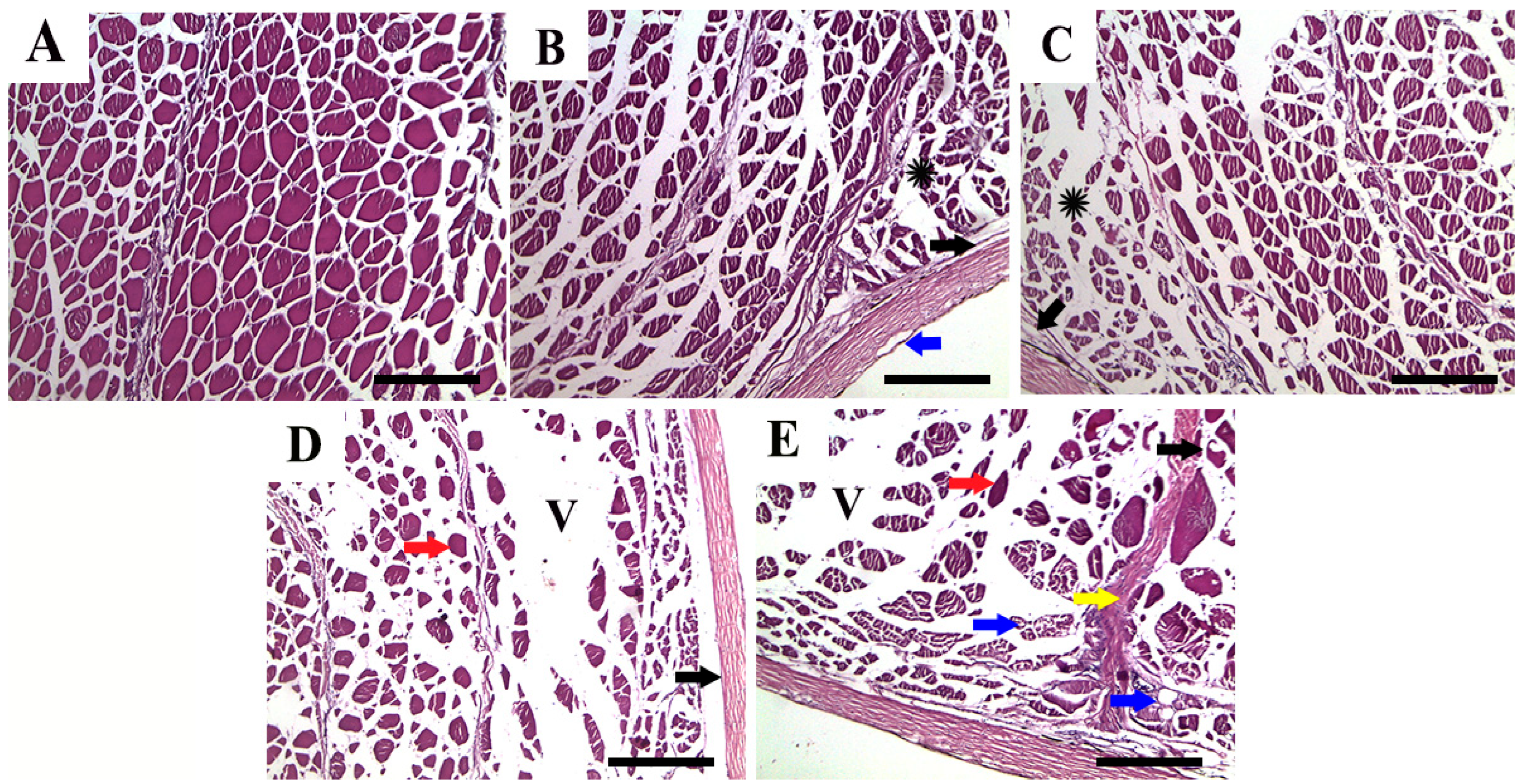Fishes 08 00282 g005 Fishes 08 00282 g005