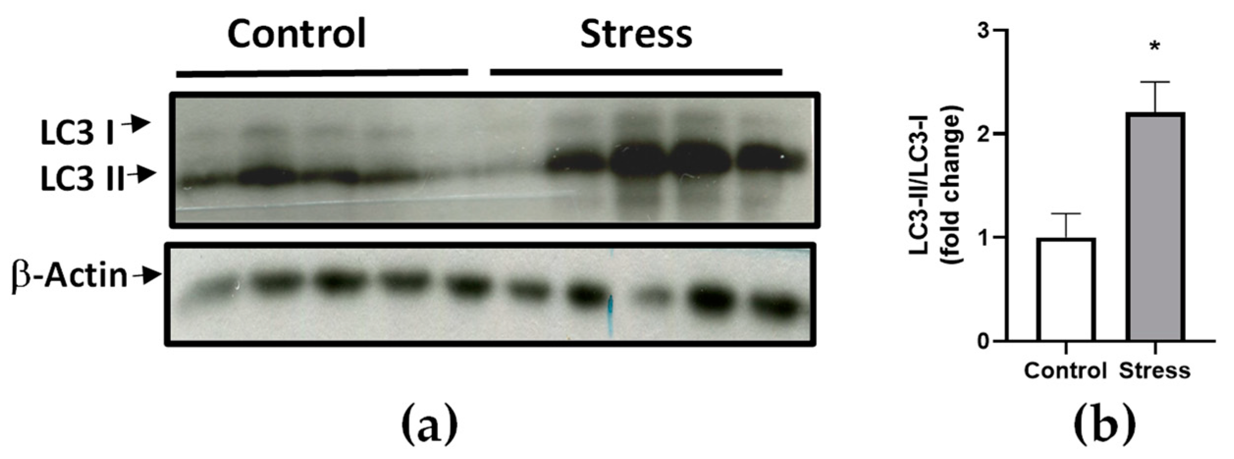Fishes 08 00303 g005