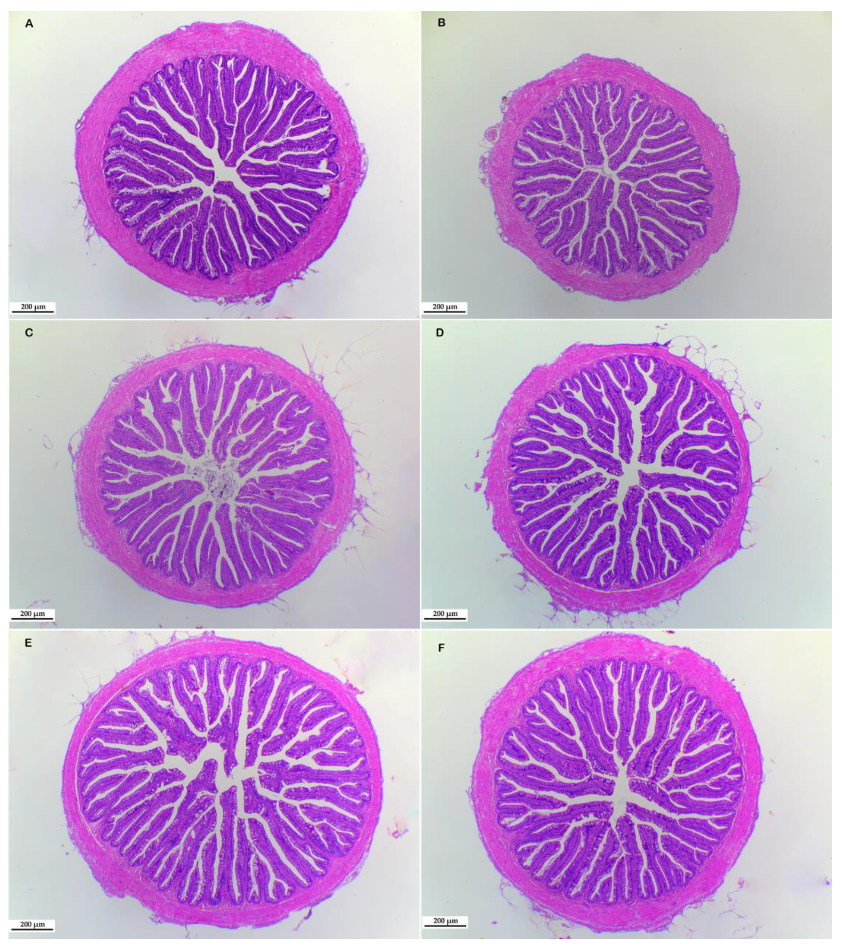 Fishes 08 00329 g006