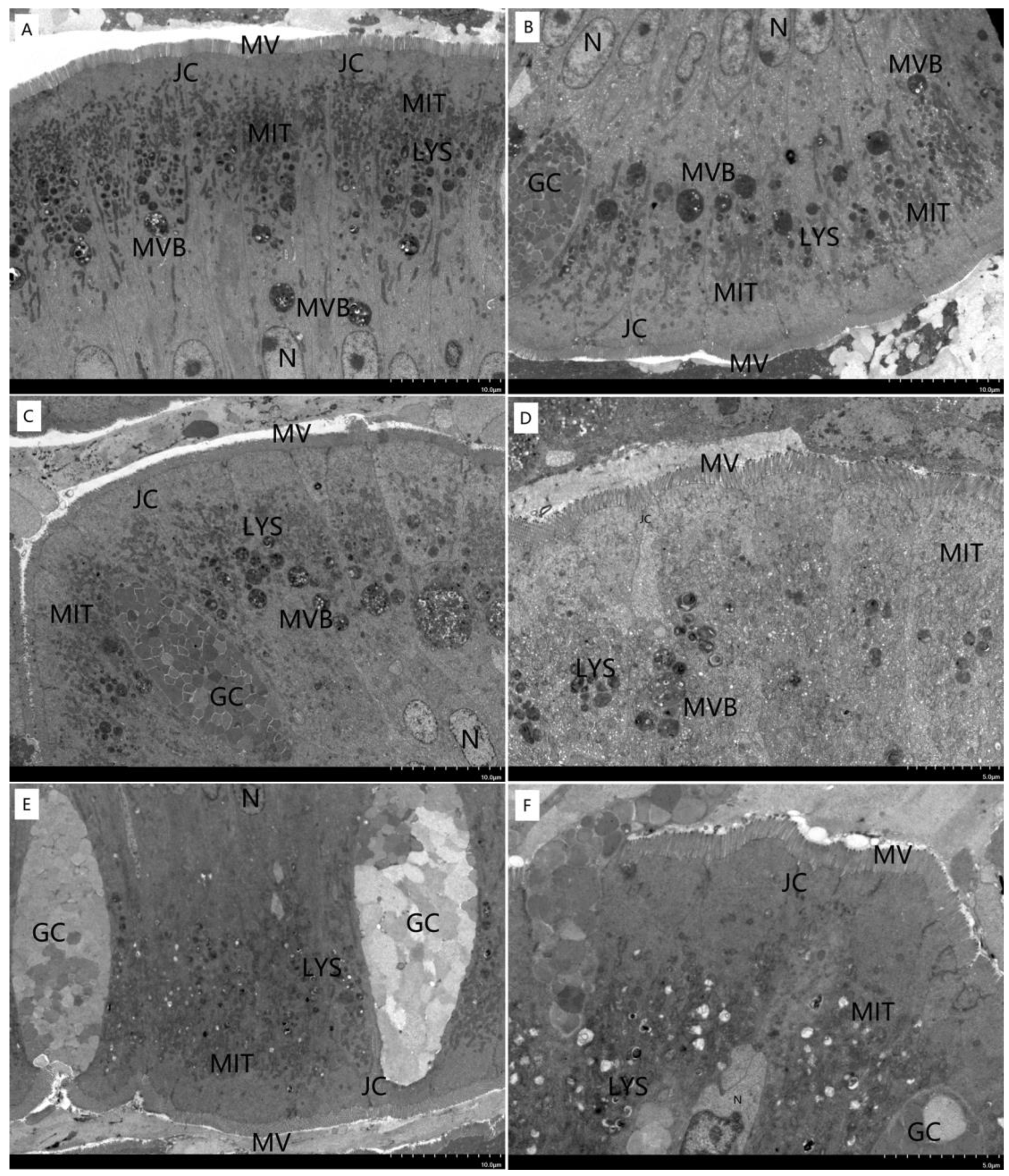 Fishes 08 00329 g007