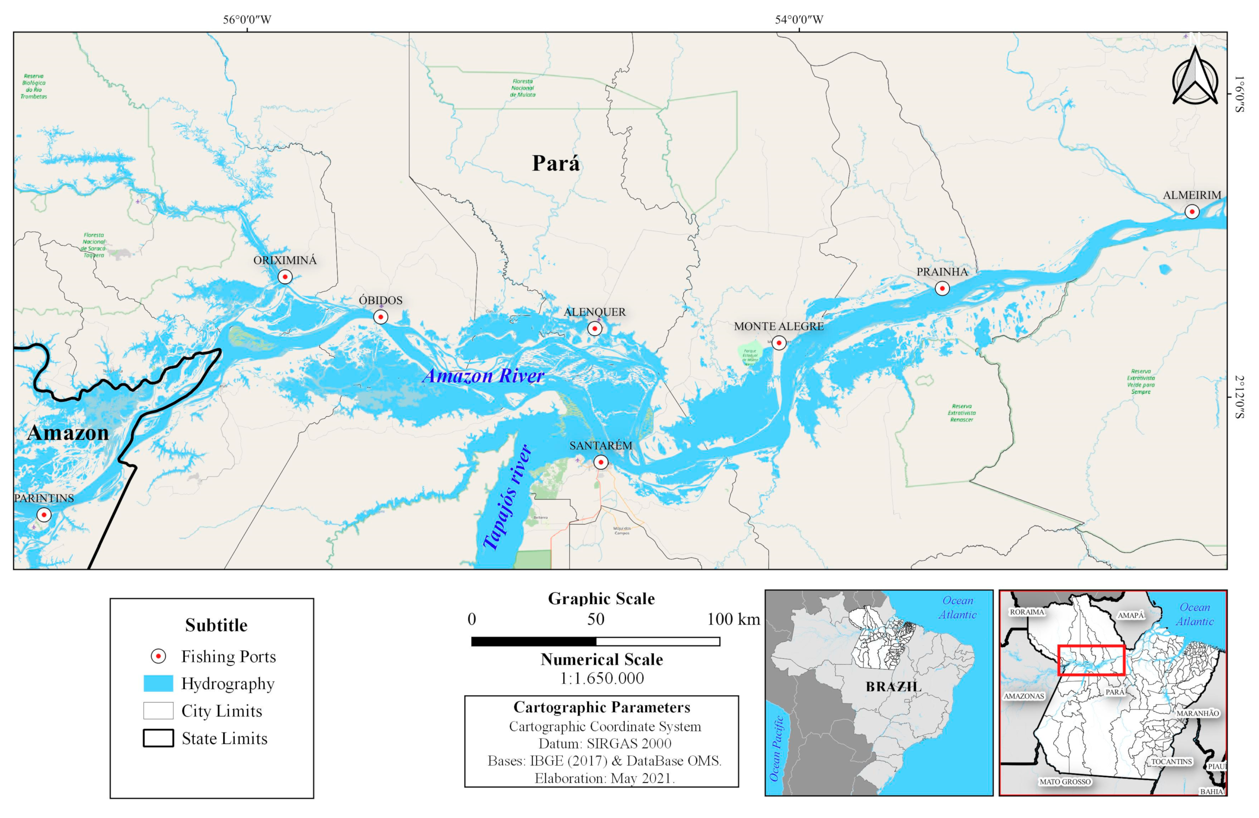Fishes | Free Full-Text | The Hydrological Cycle of the Lower Amazon in  Brazil Determines the Variation in Local Fishing Patterns