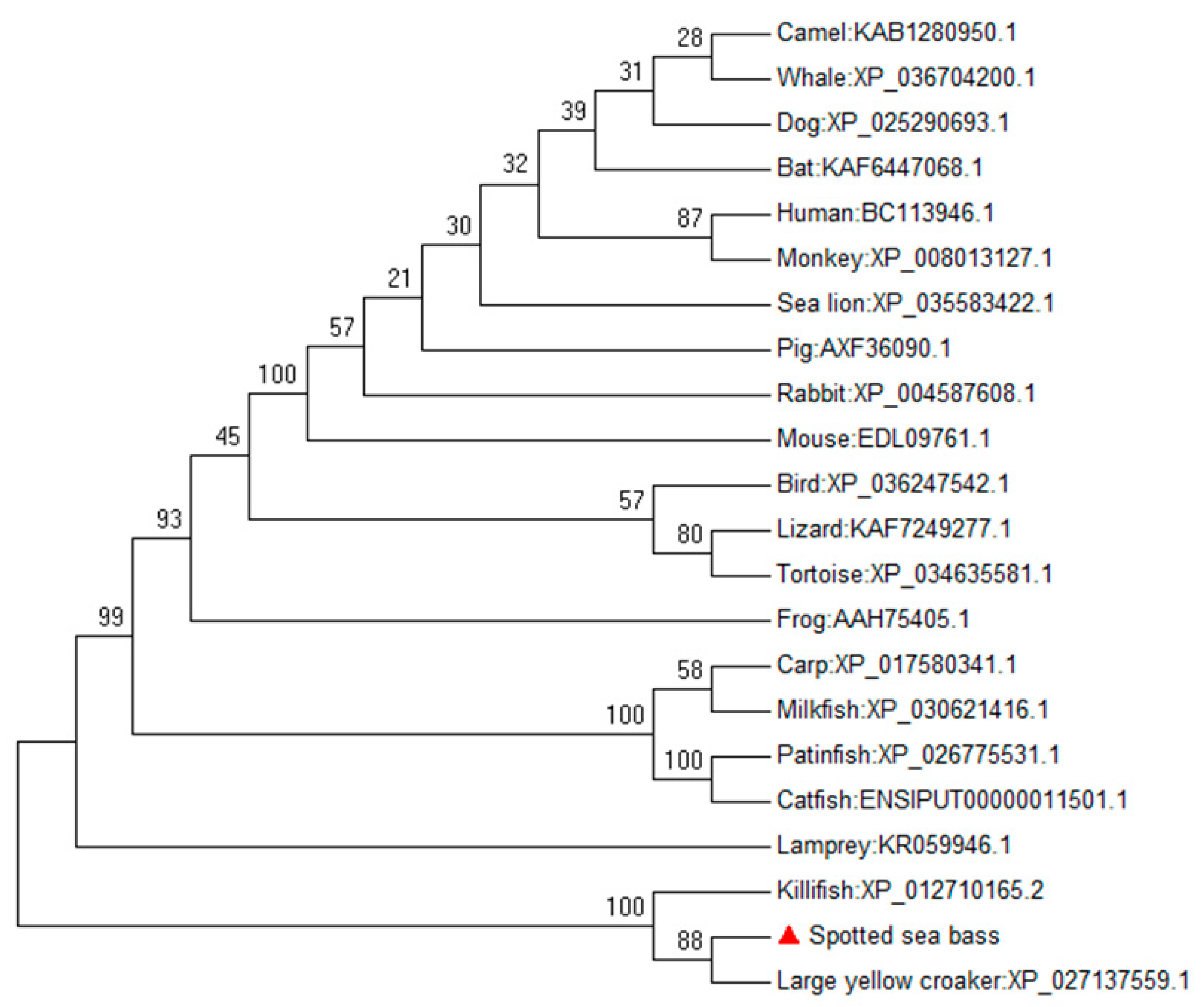 Fishes 08 00405 g002 Fishes 08 00405 g002
