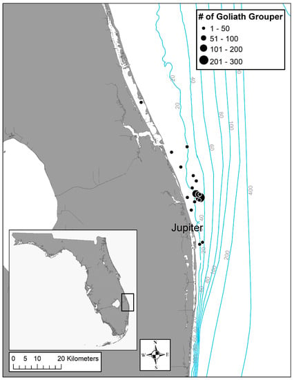 Amendment 51: Establish Gray Snapper Status Determination Criteria