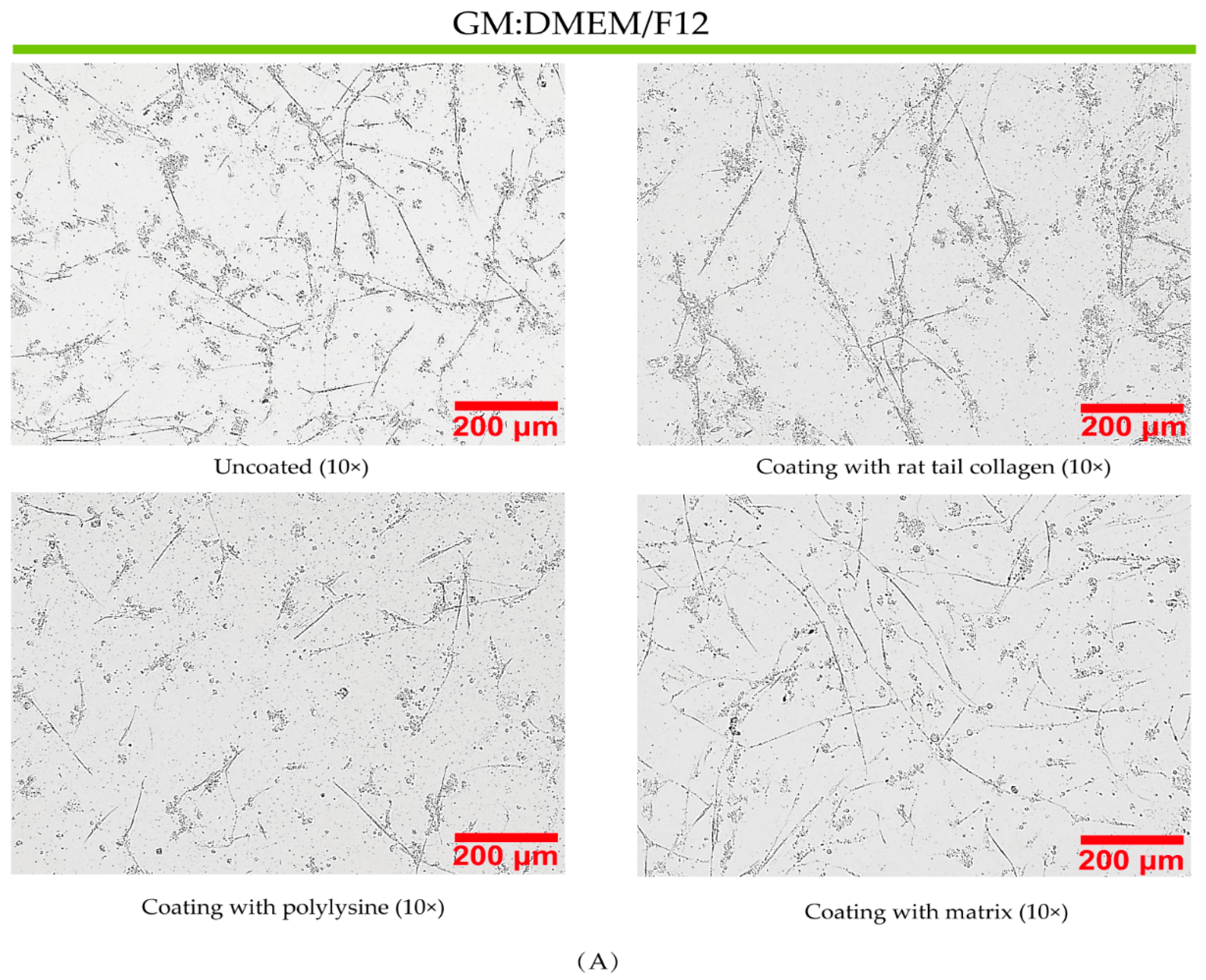 Fishes 08 00429 g004a