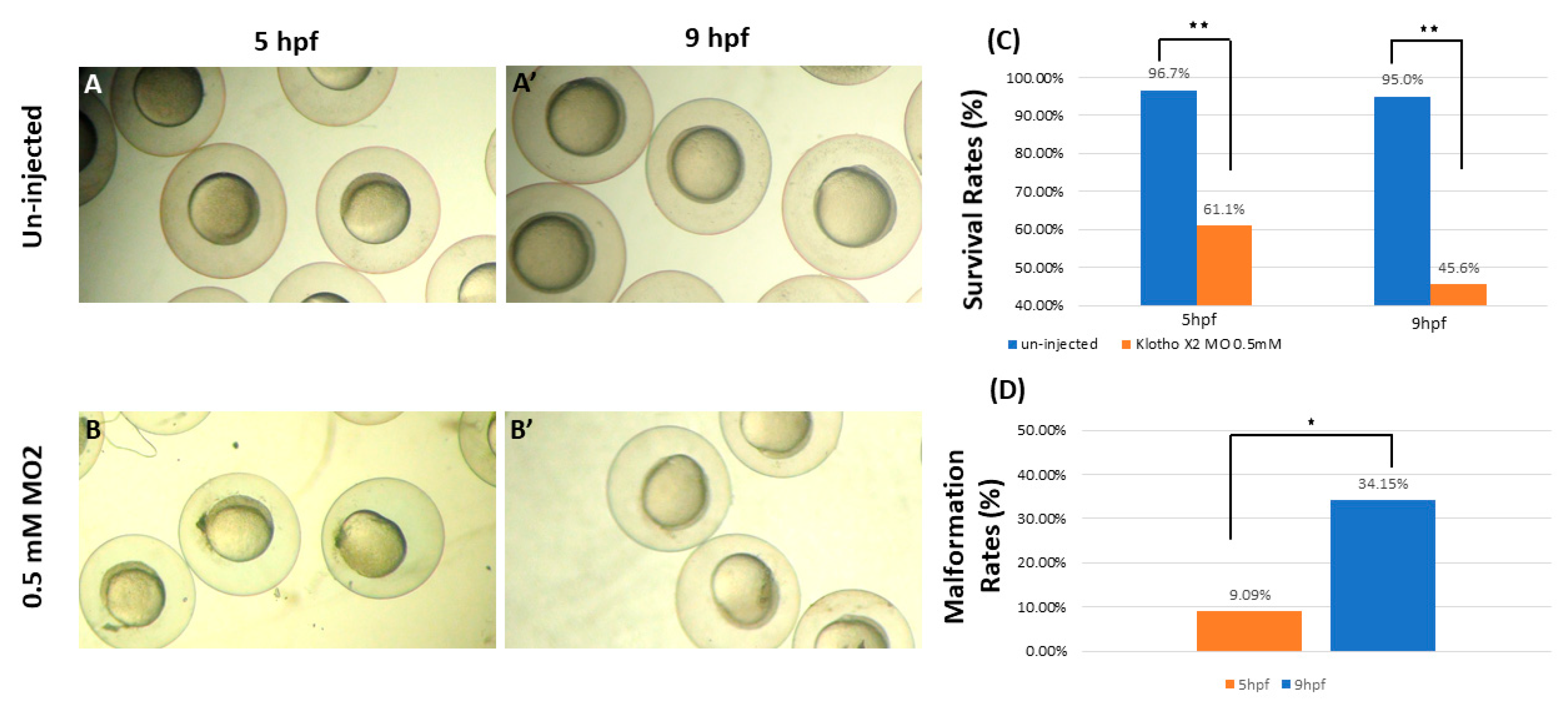 Fishes 08 00440 g004 Fishes 08 00440 g004
