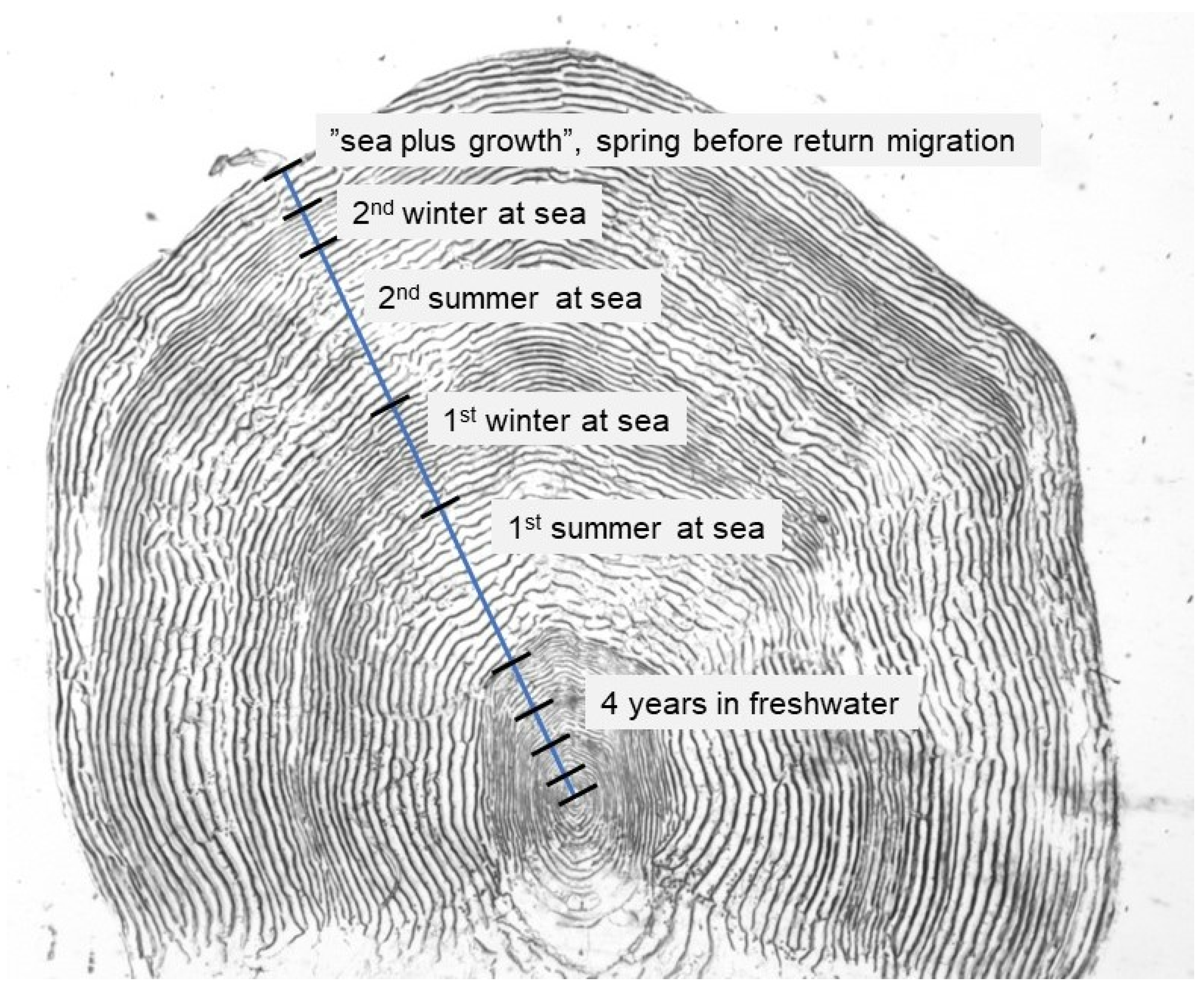 Fishes 08 00441 g002