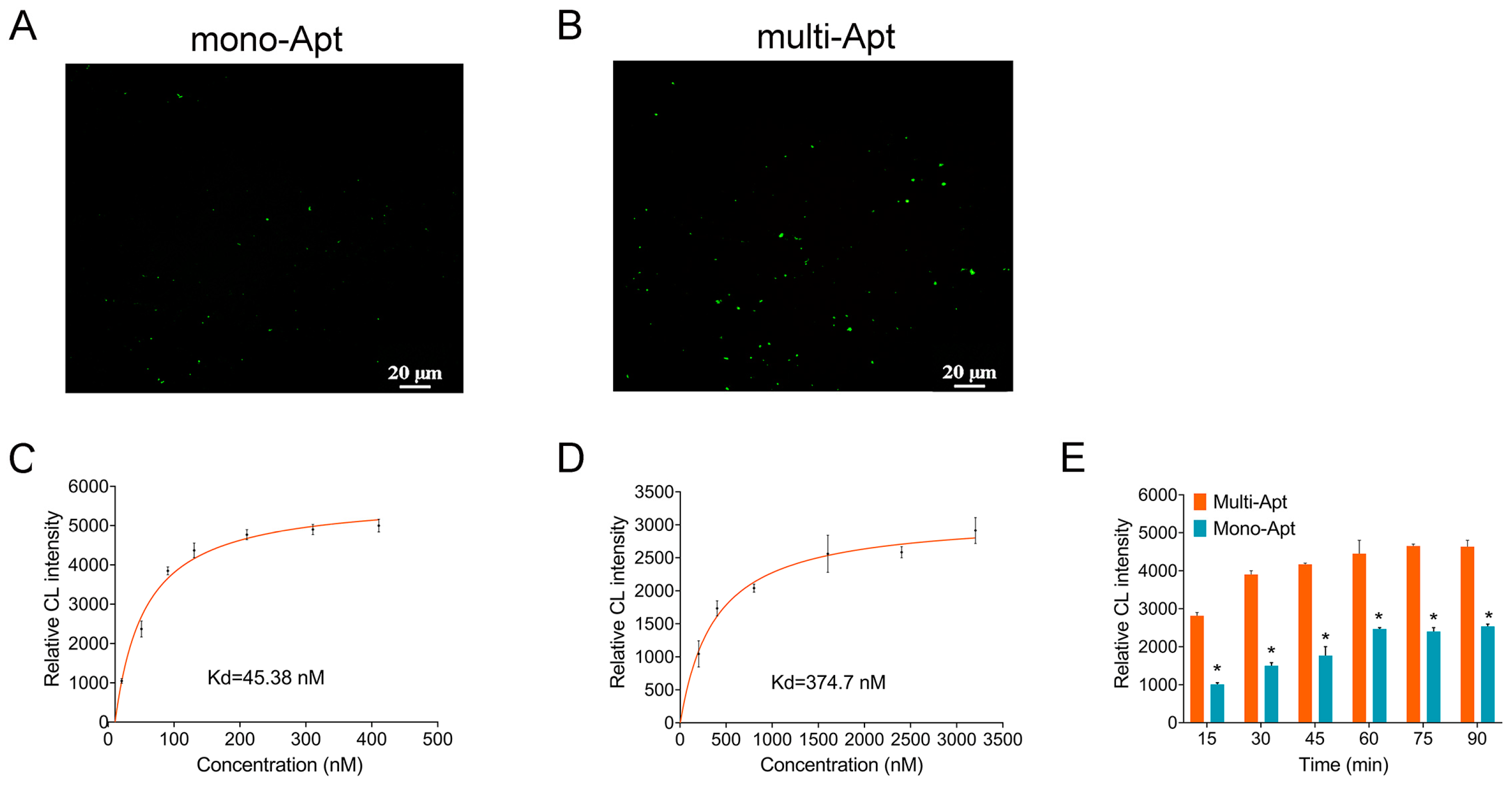 Fishes 08 00477 g002