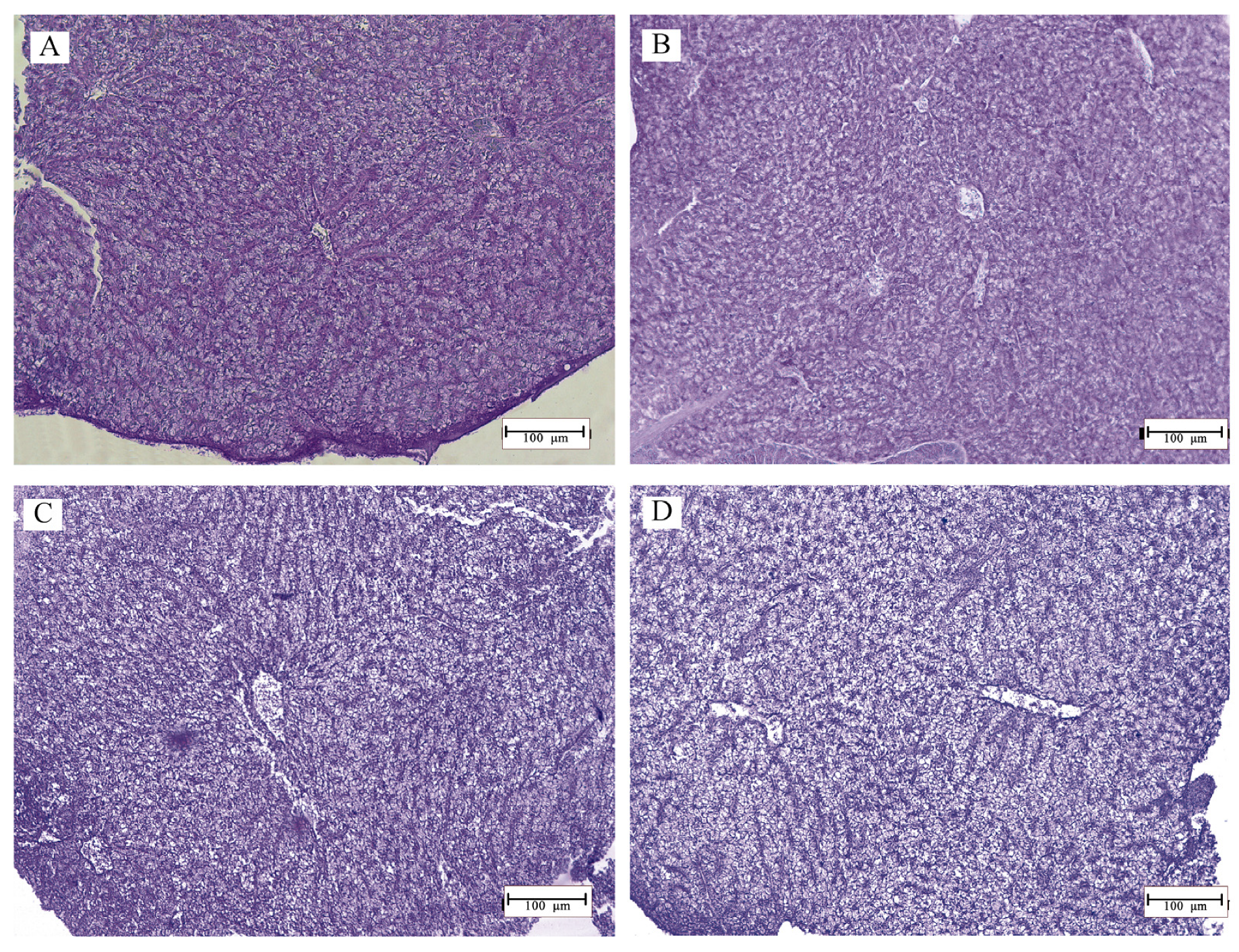 Fishes 08 00509 g002