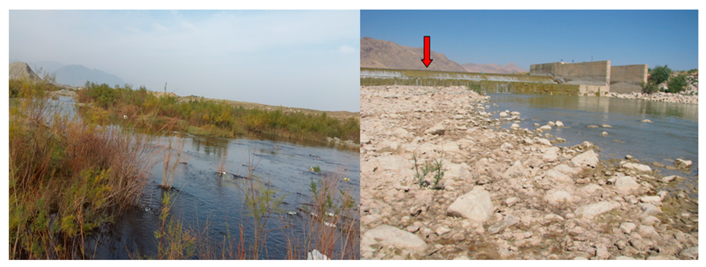 Fishes 08 00538 g006 Fishes 08 00538 g006