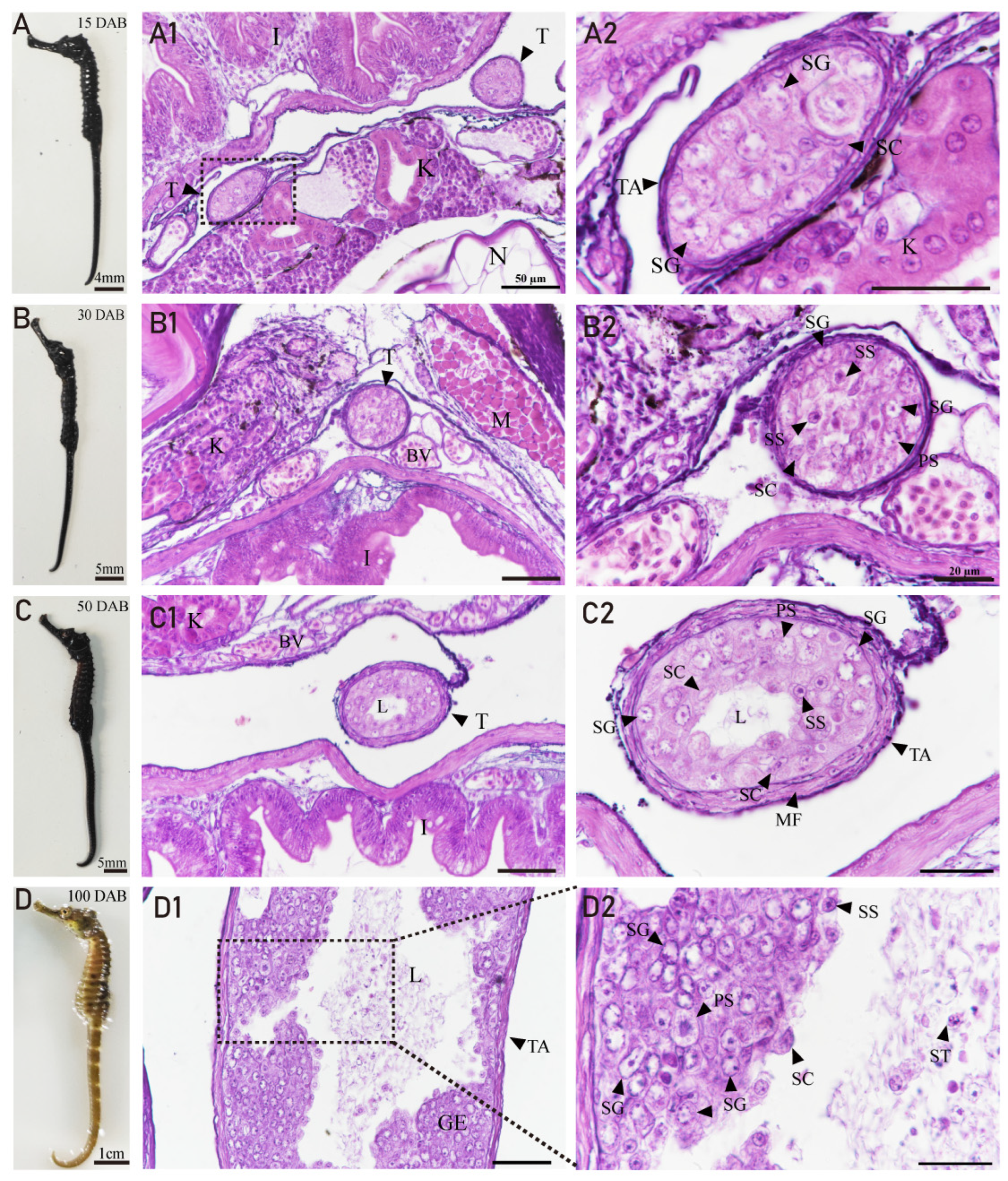 Fishes 08 00551 g005