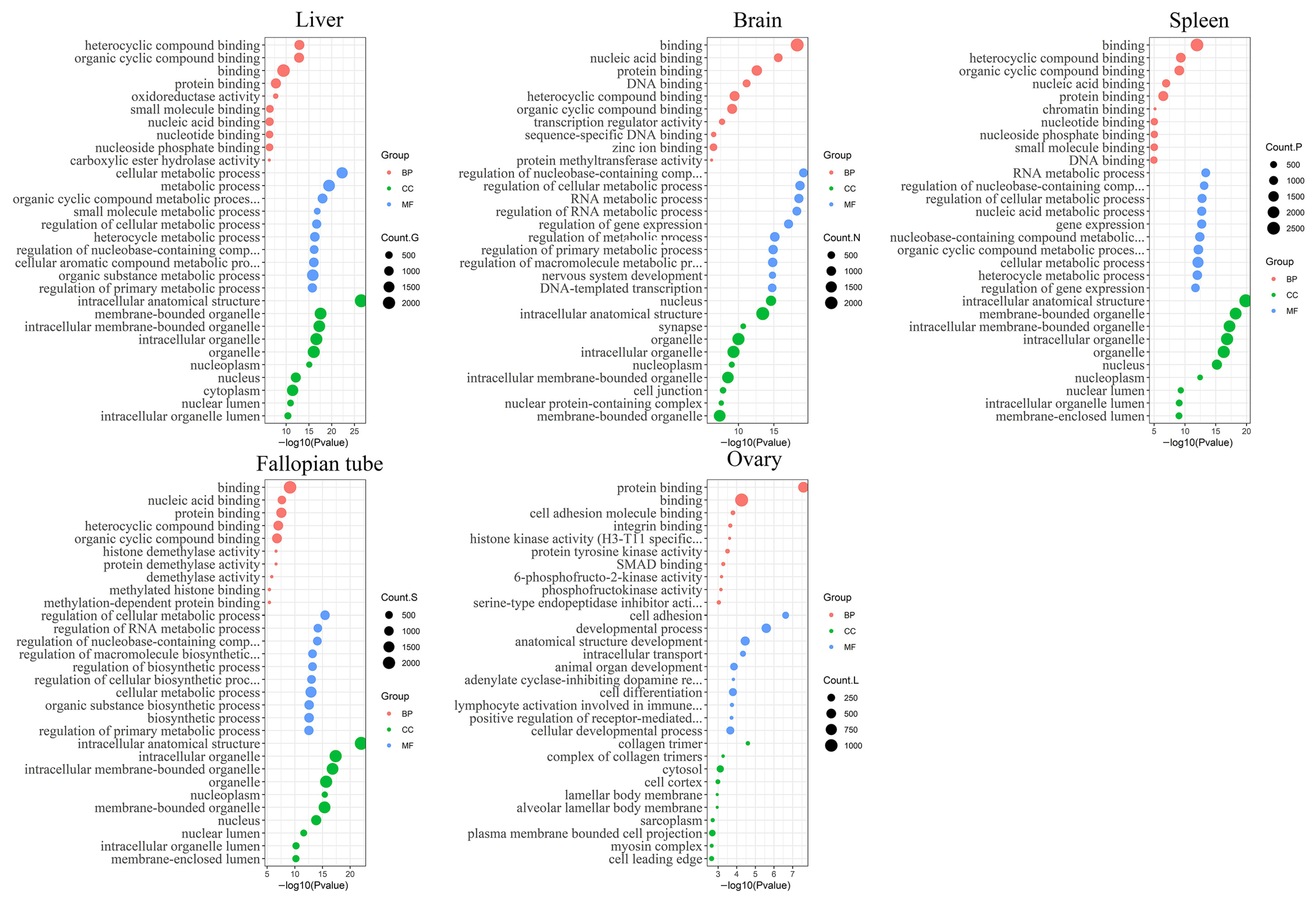 Fishes 08 00569 g005