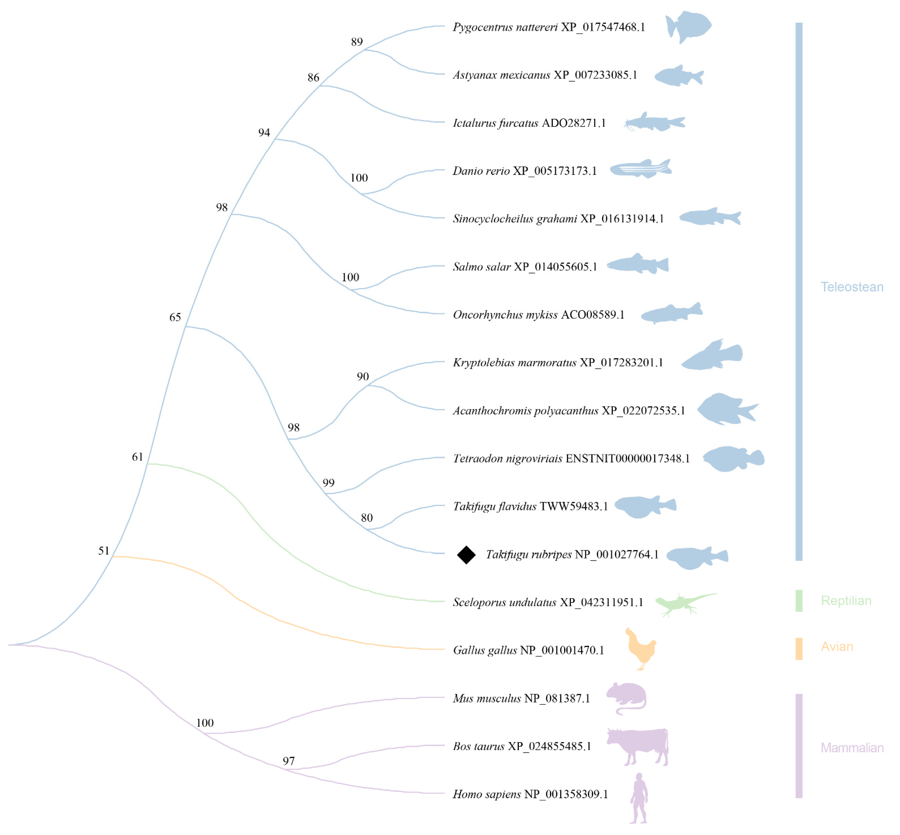 Fishes 08 00577 g003