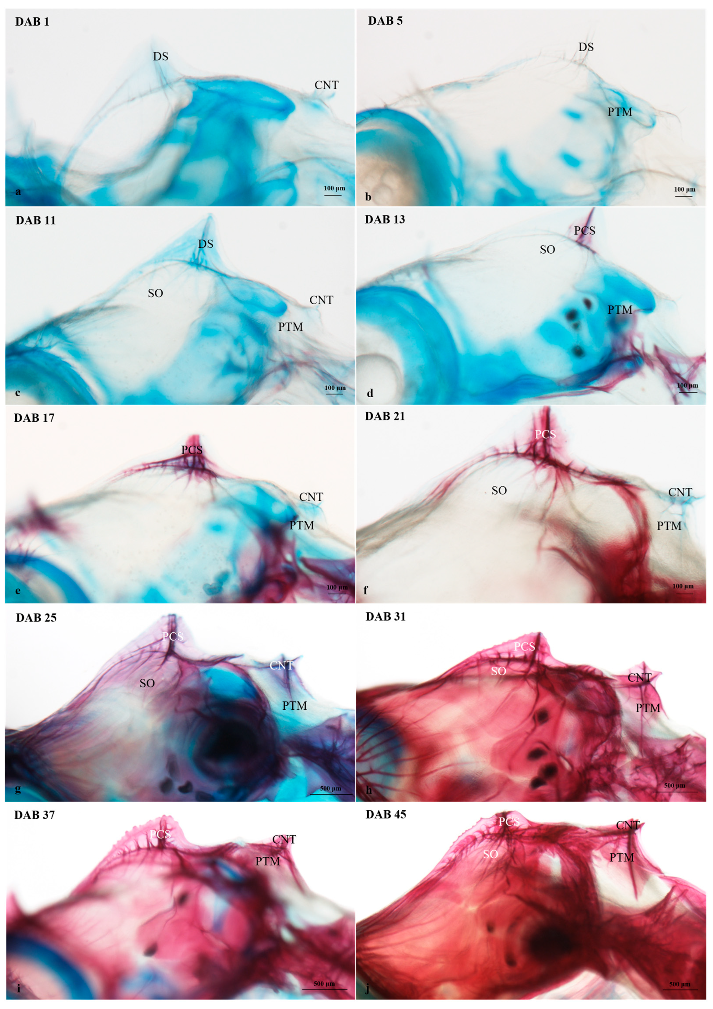 Fishes 08 00604 g003