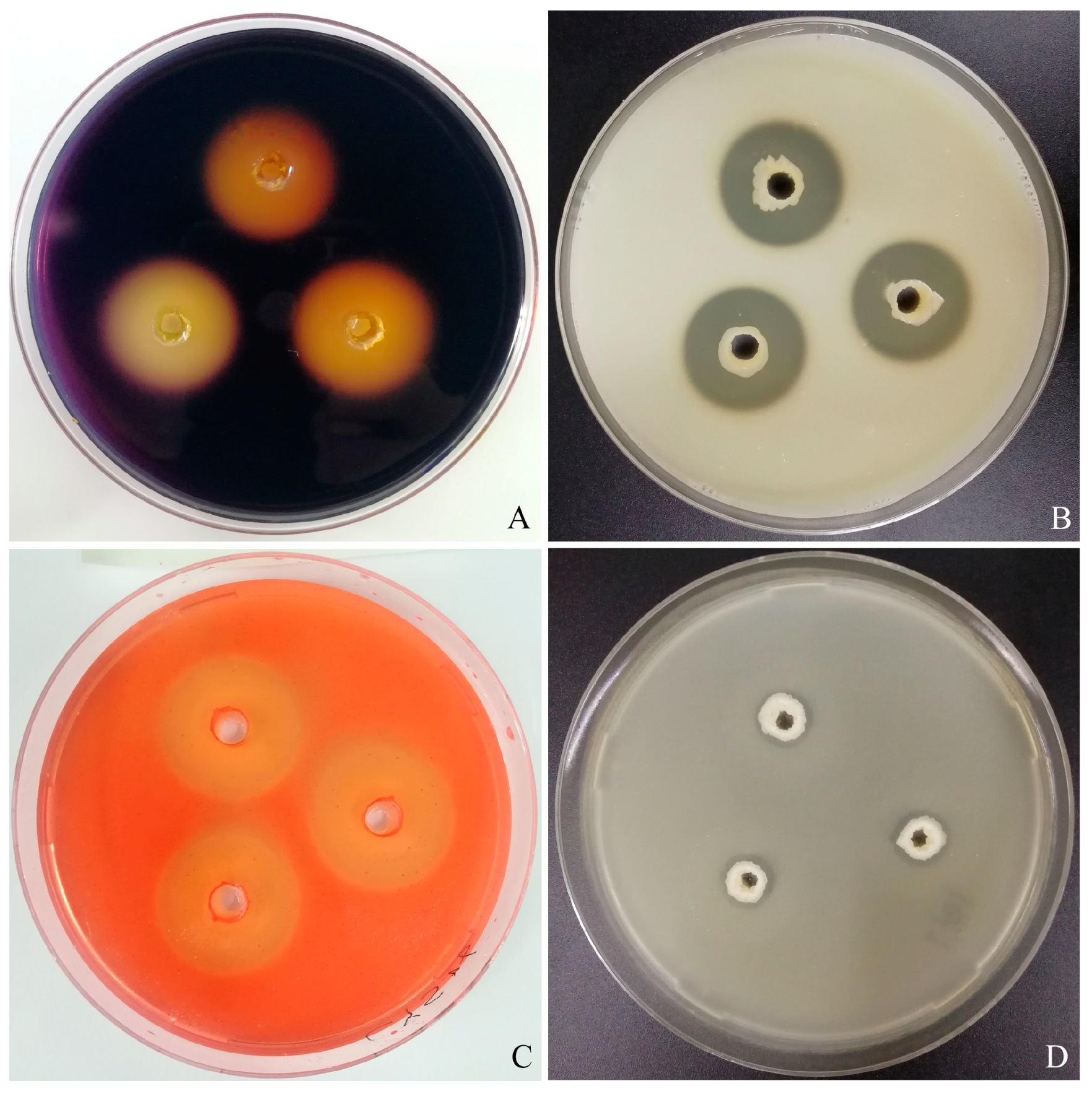 Fishes 09 00007 g002