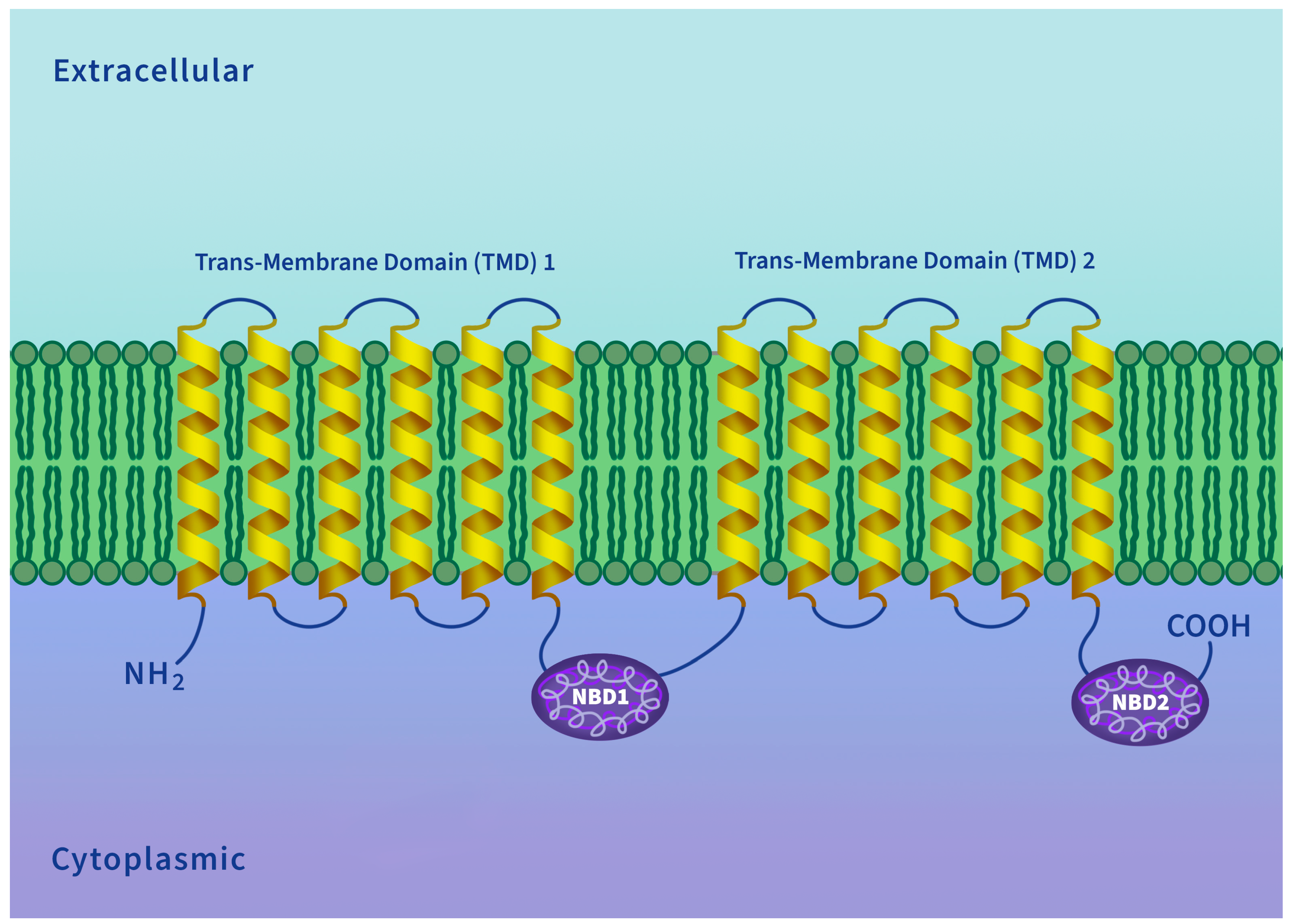 Fishes 09 00051 g002