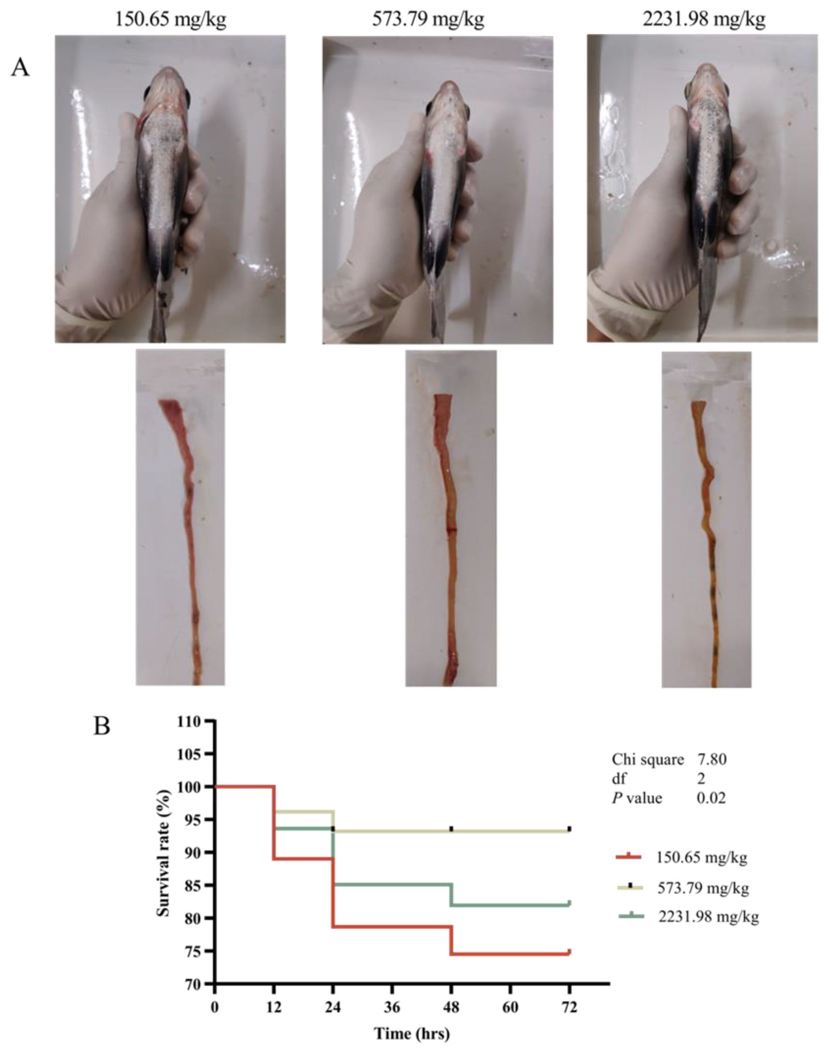 Fishes 09 00129 g005 Fishes 09 00129 g005