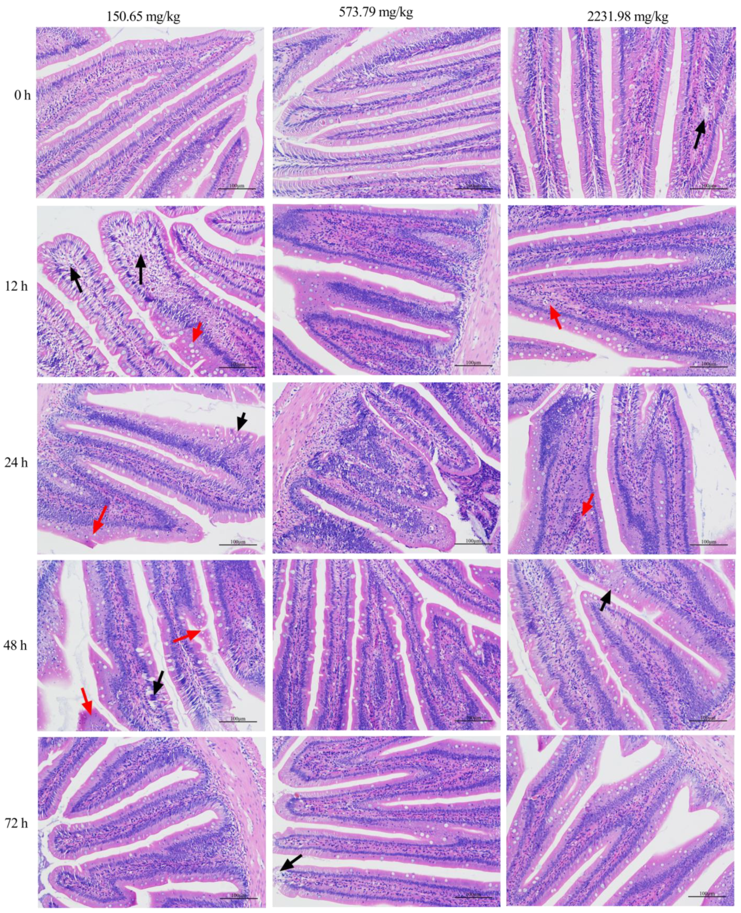 Fishes 09 00129 g006 Fishes 09 00129 g006