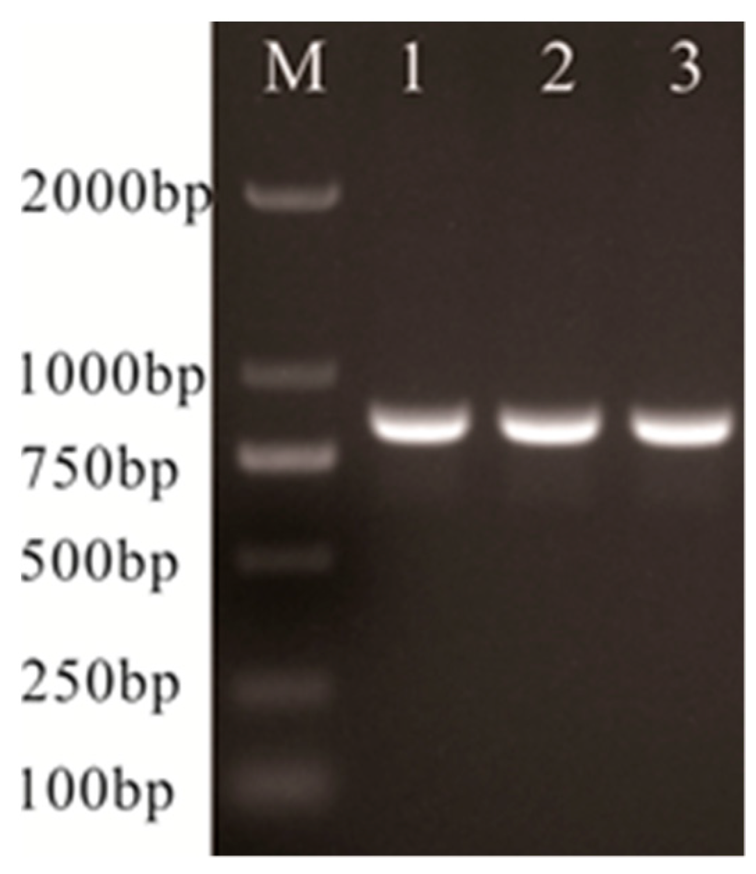 Fishes 09 00140 g004