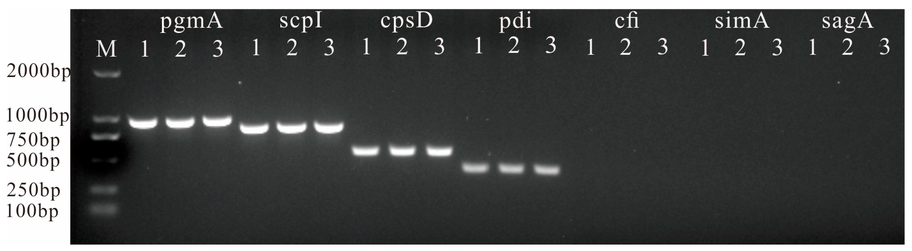Fishes 09 00140 g006