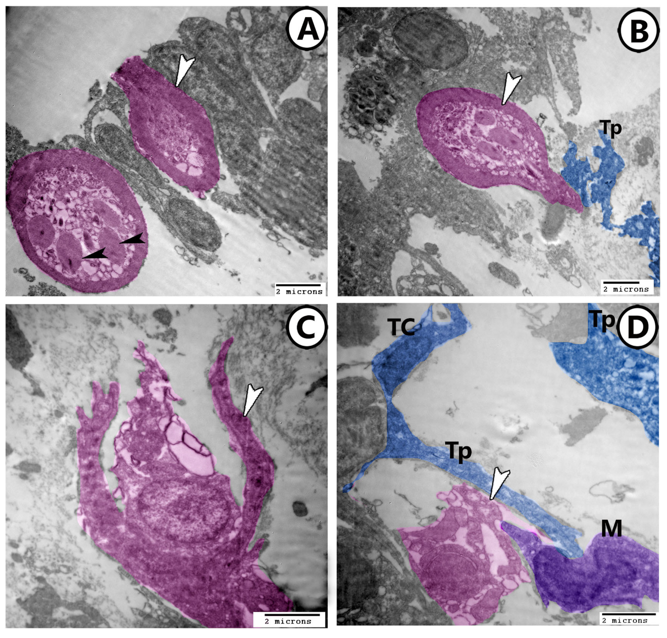 Fishes 09 00203 g005