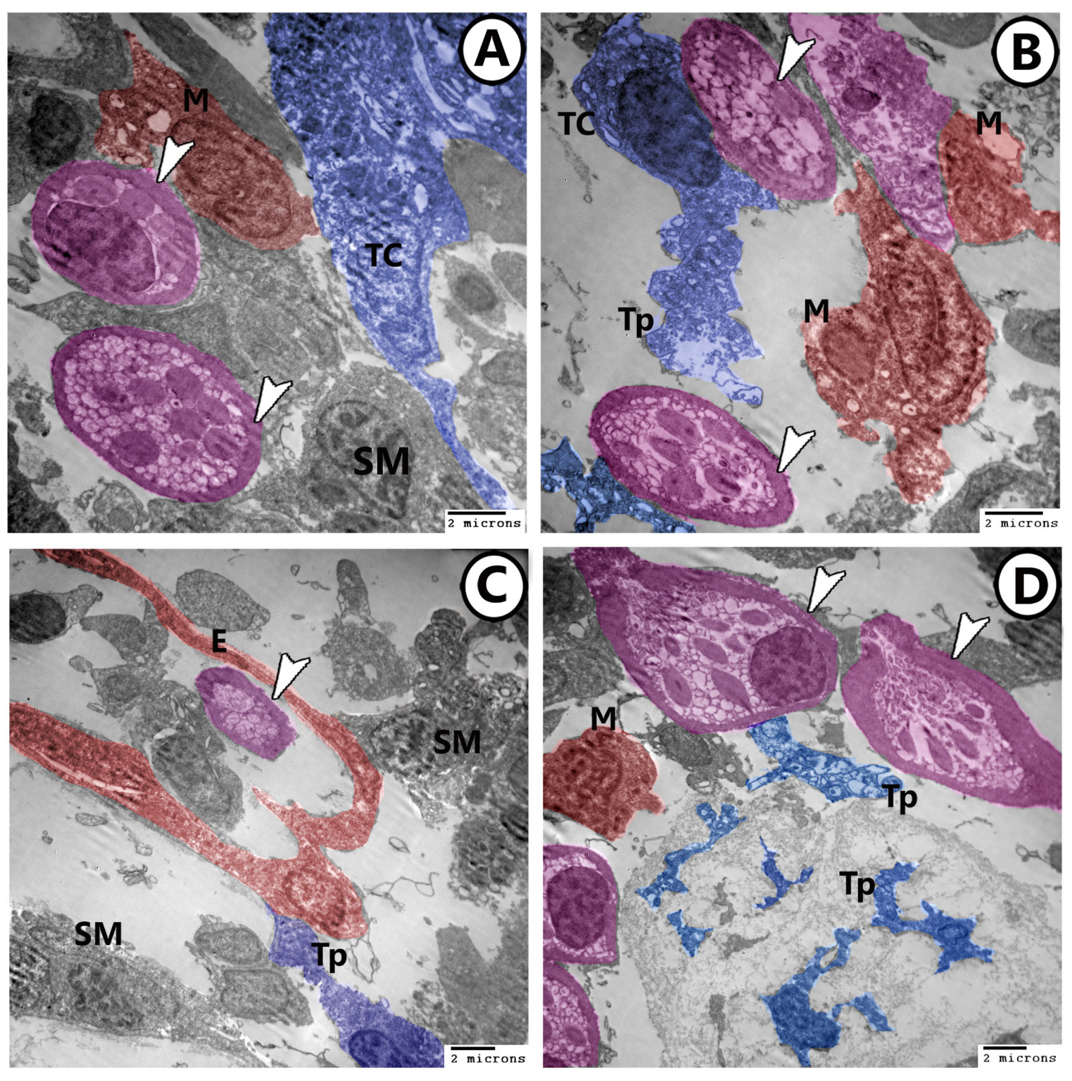 Fishes 09 00203 g006
