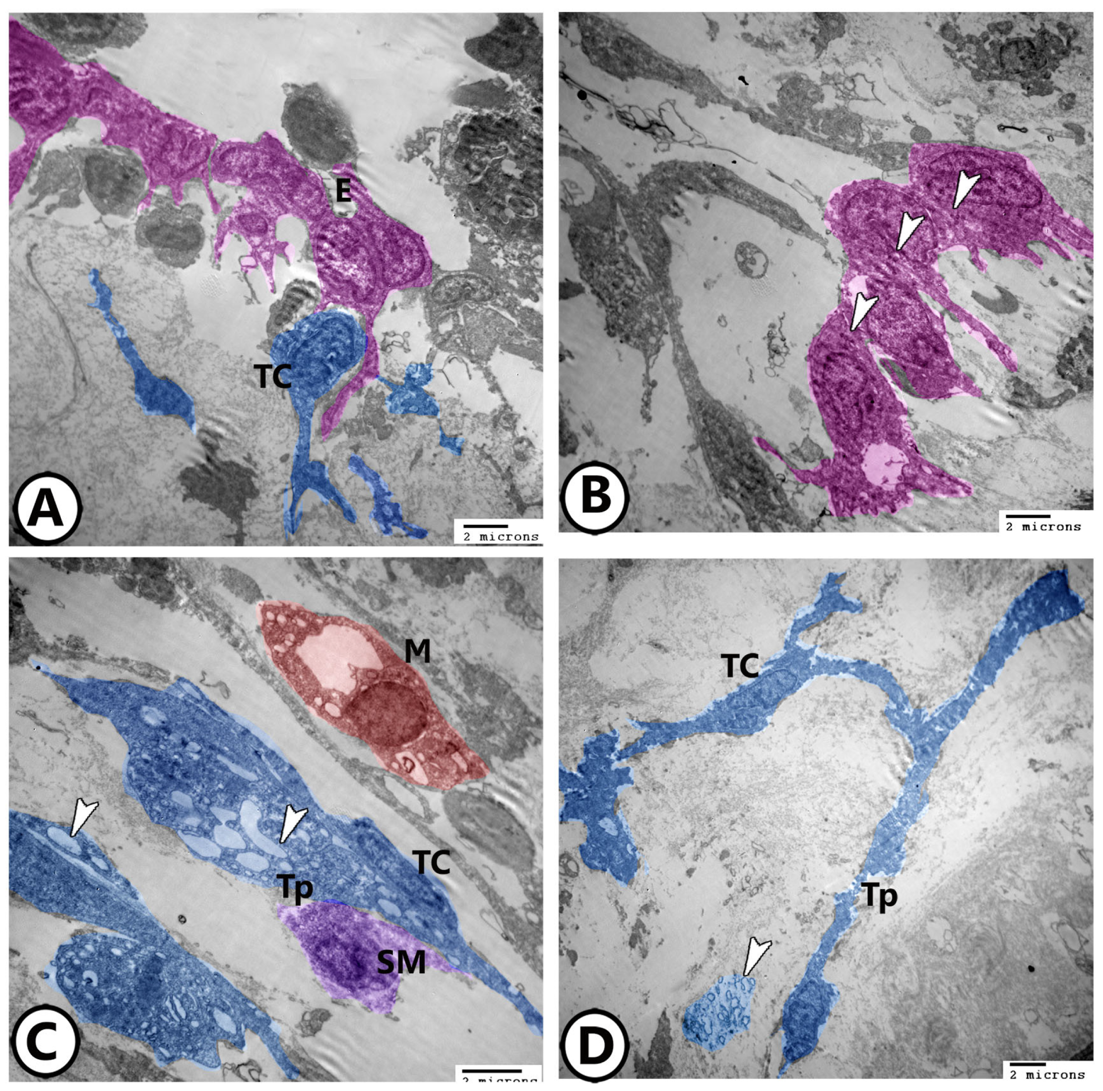 Fishes 09 00203 g007