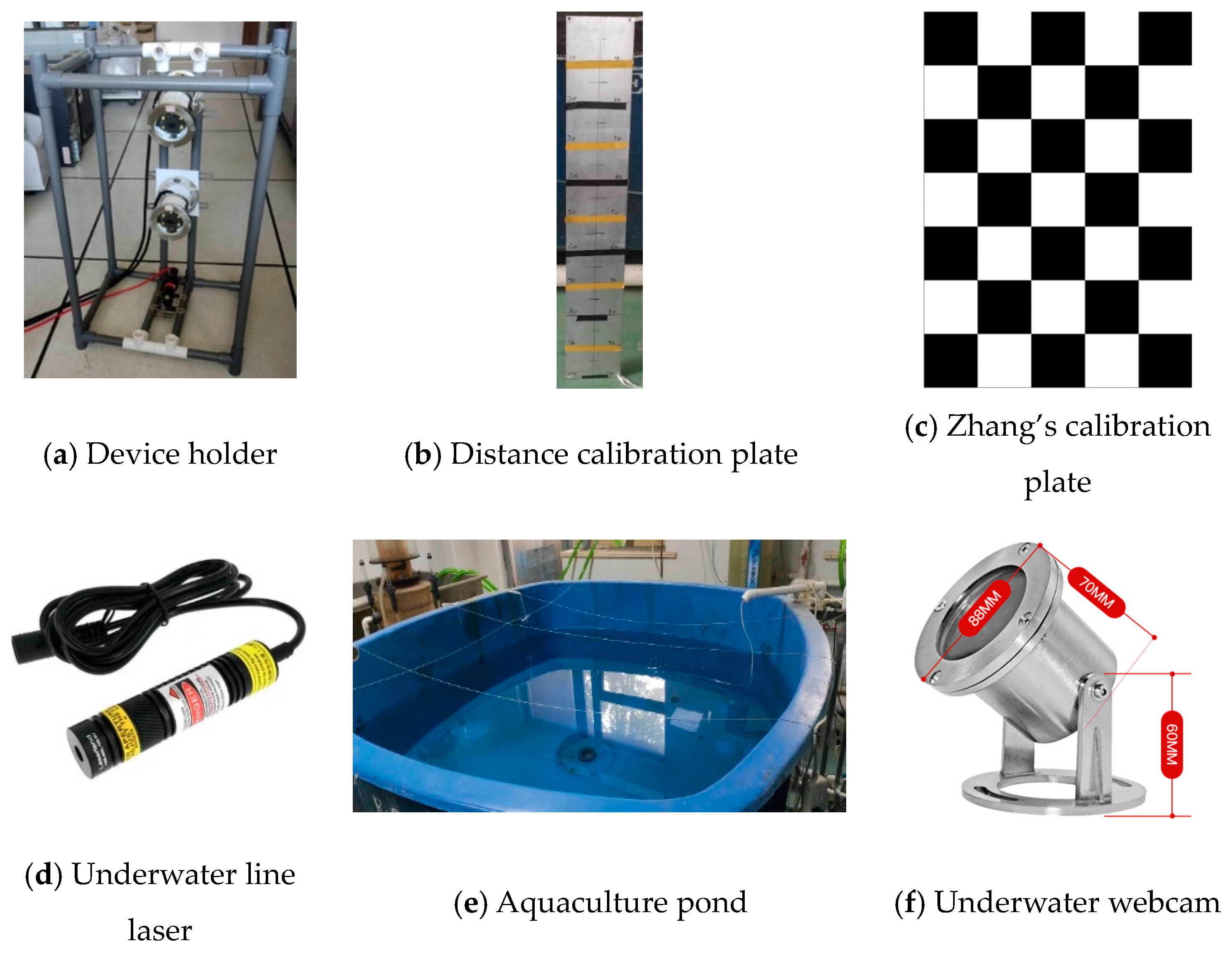 Fishes 09 00206 g001