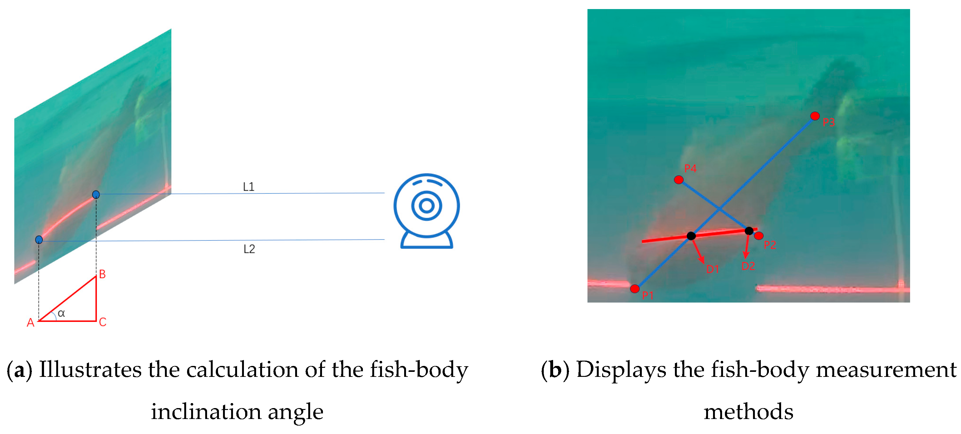 Fishes 09 00206 g004