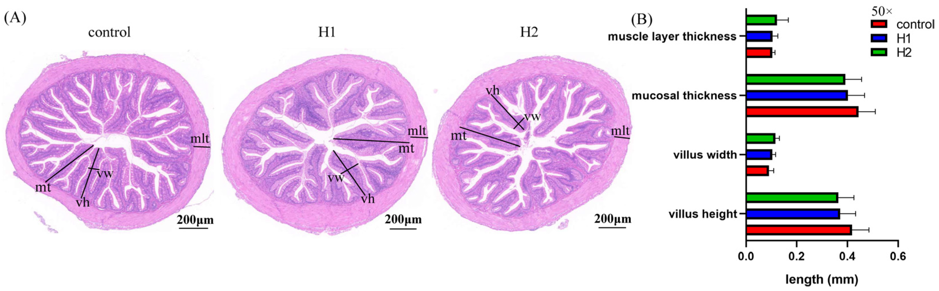Fishes 09 00210 g001