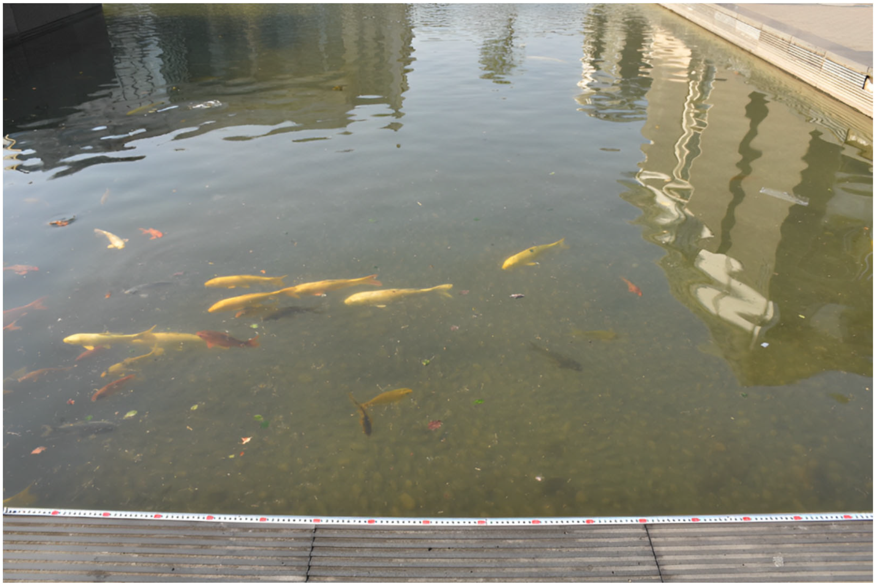 Fishes 09 00211 g004