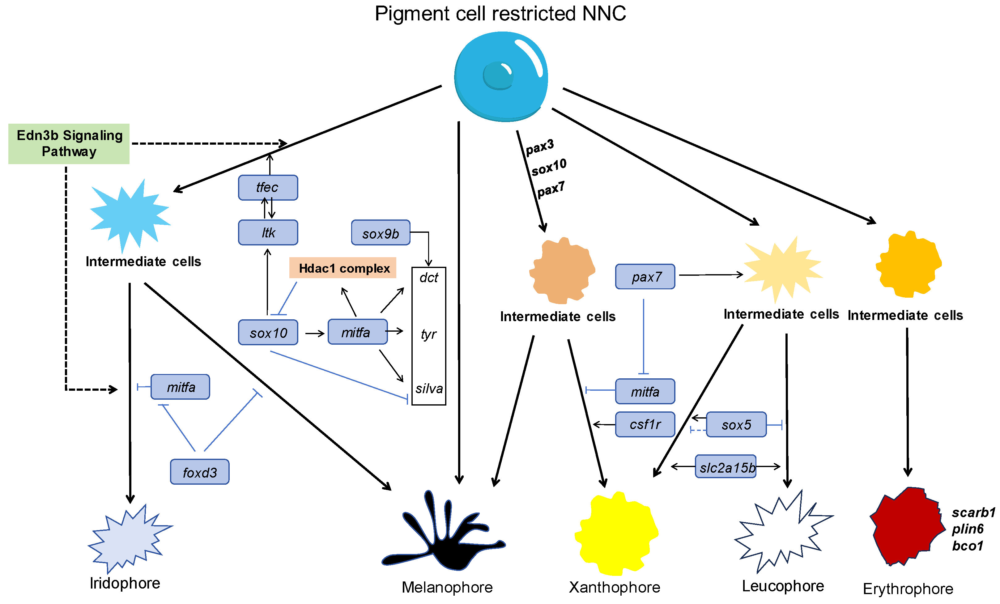 Fishes 09 00220 g001