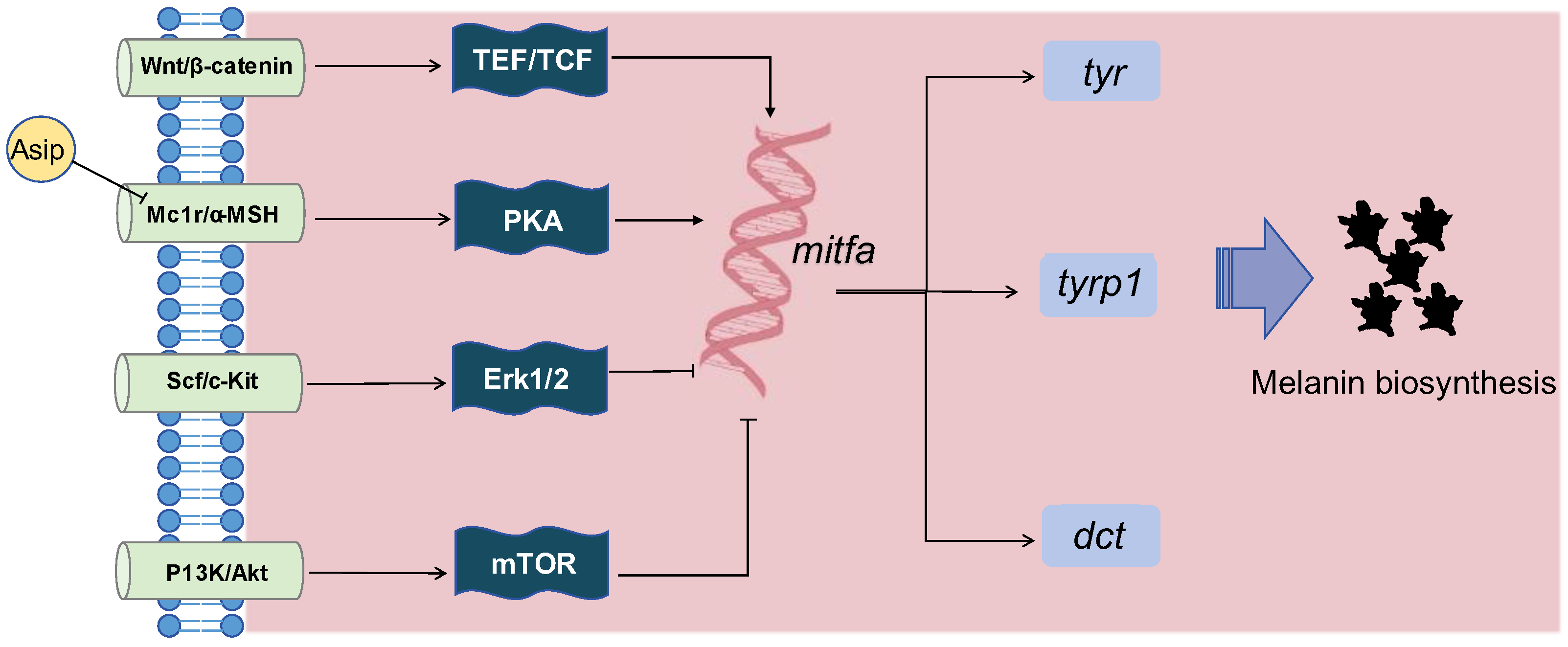 Fishes 09 00220 g002