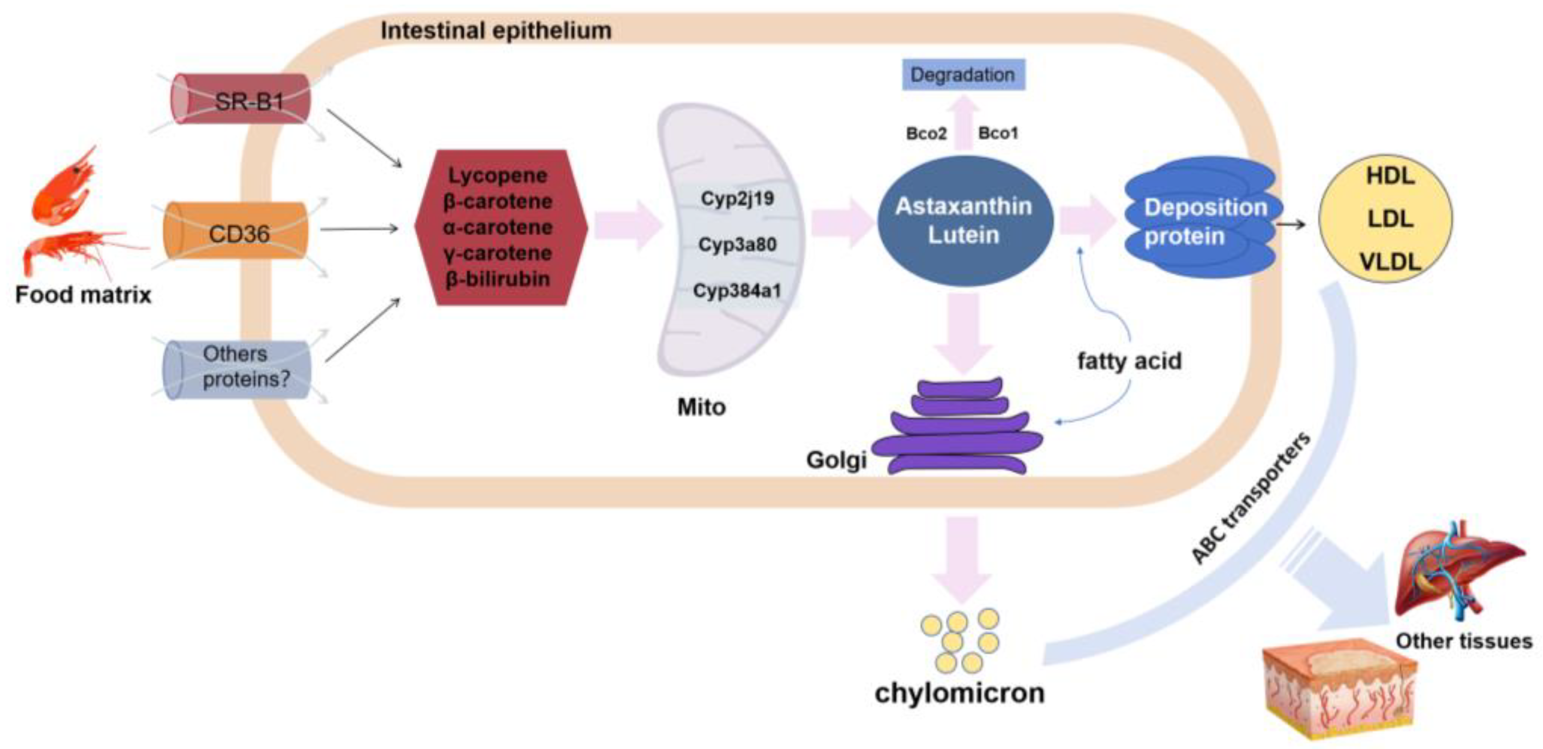 Fishes 09 00220 g003
