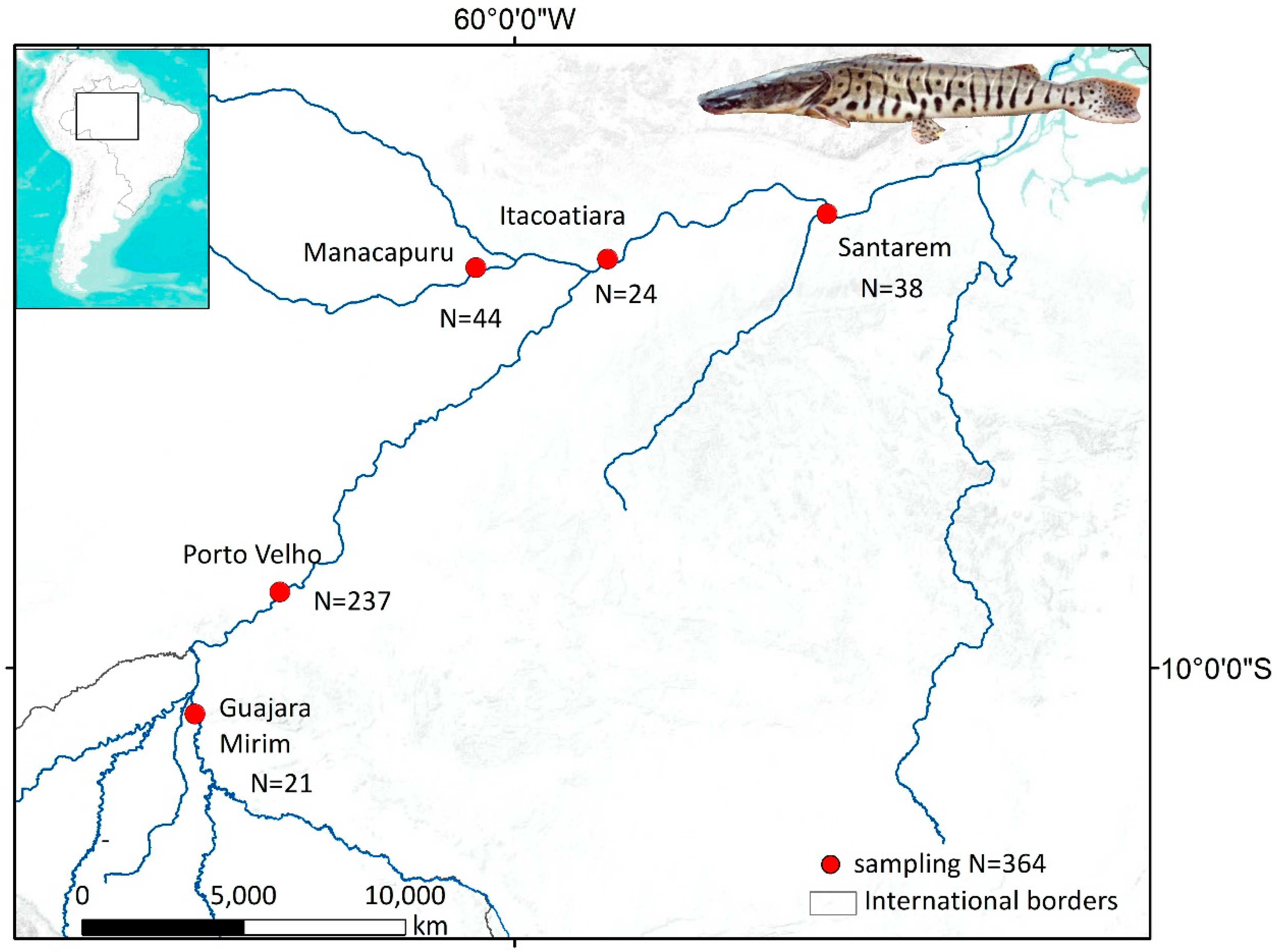 Fishes 09 00223 g001