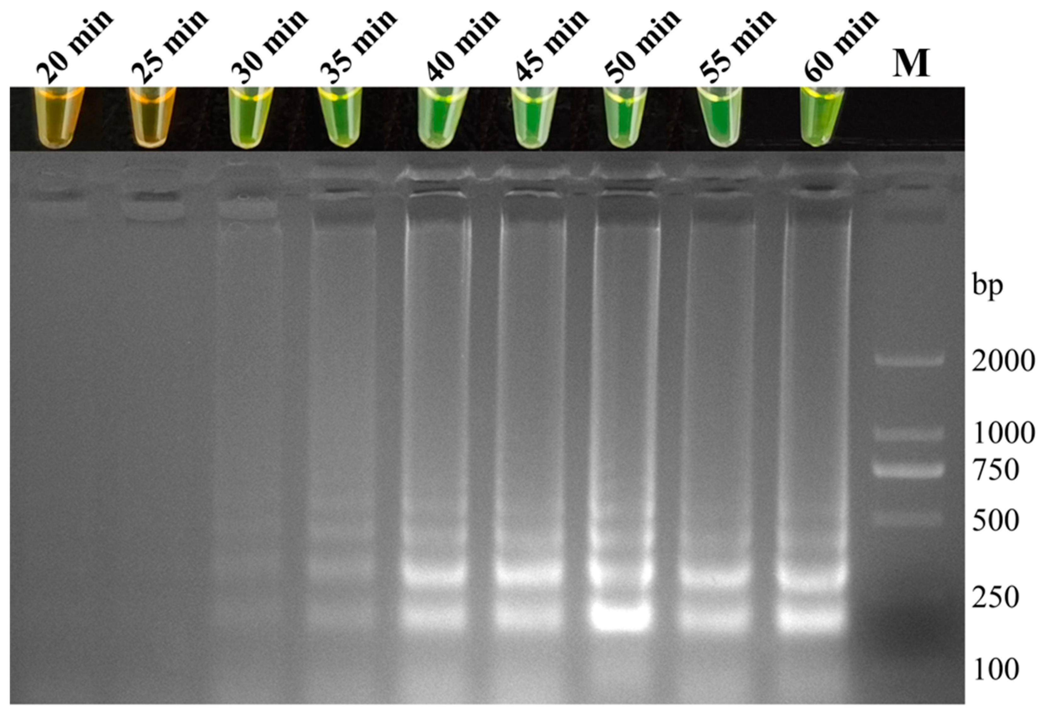 Fishes 09 00225 g003