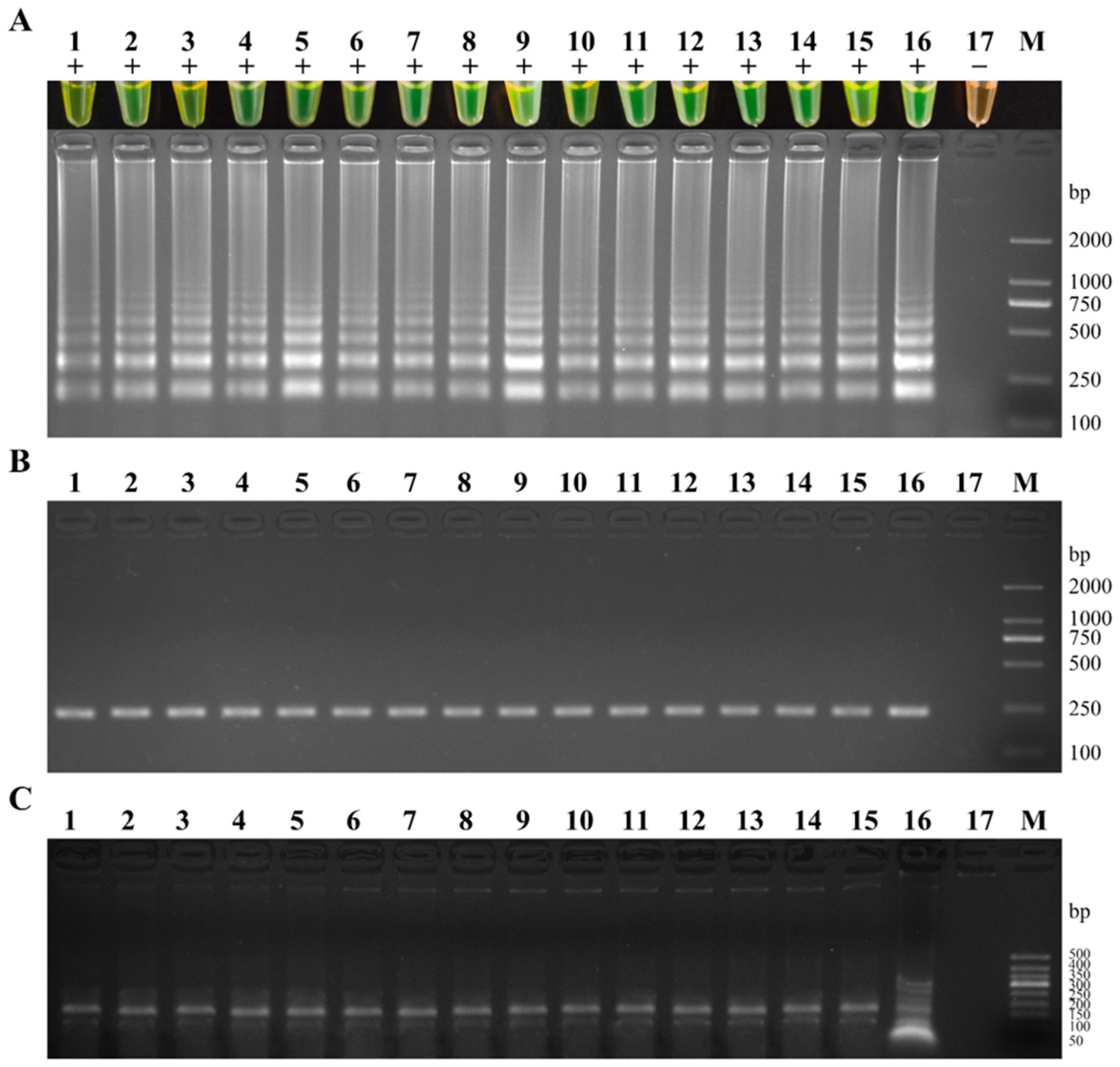 Fishes 09 00225 g009