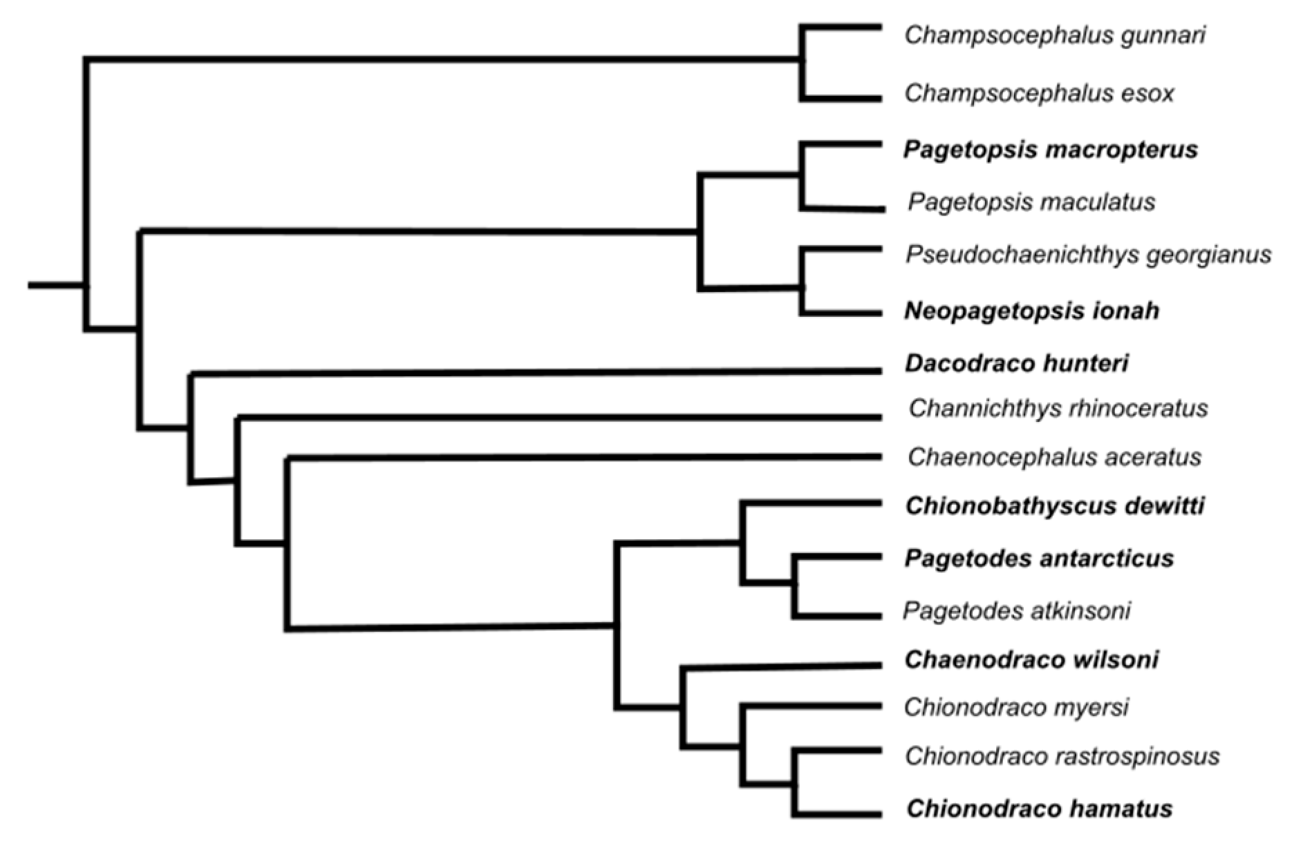Fishes 09 00247 g006