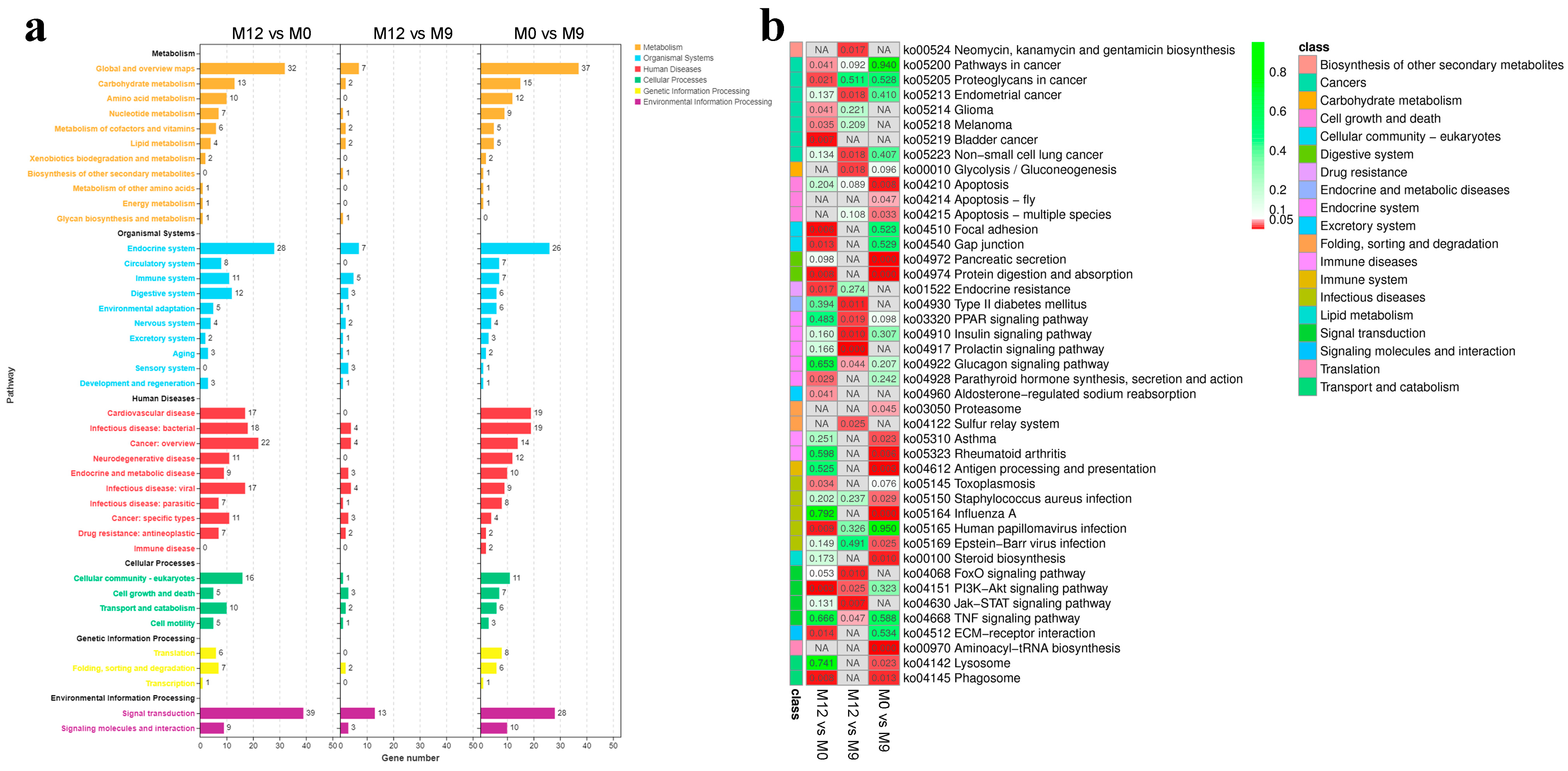 Fishes 09 00256 g002