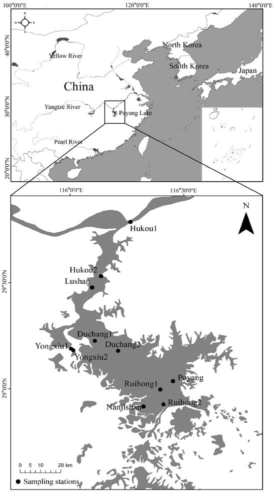 Fishes | Free Full-Text | Community Structure Characteristics and ...