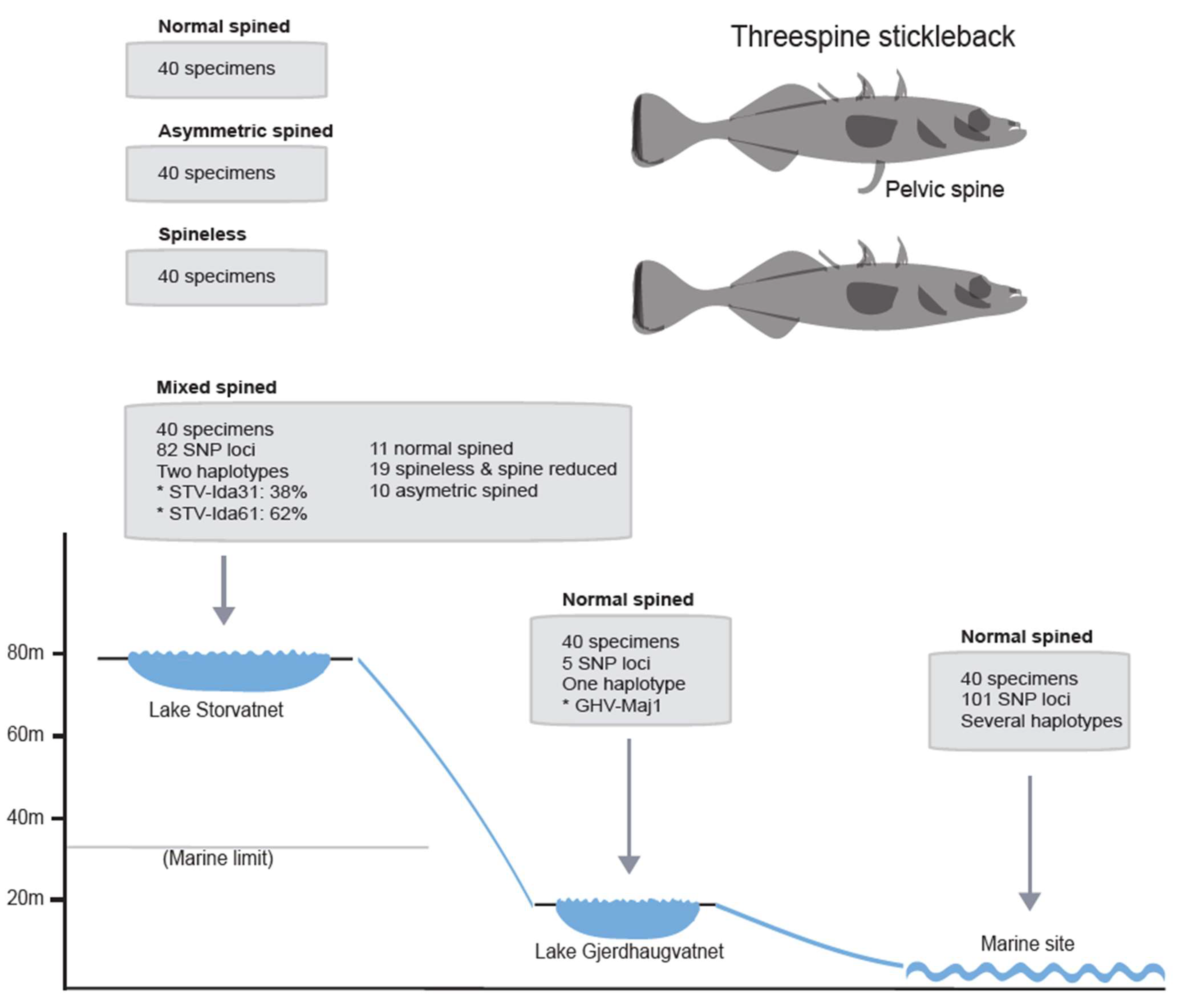Fishes 09 00285 g004