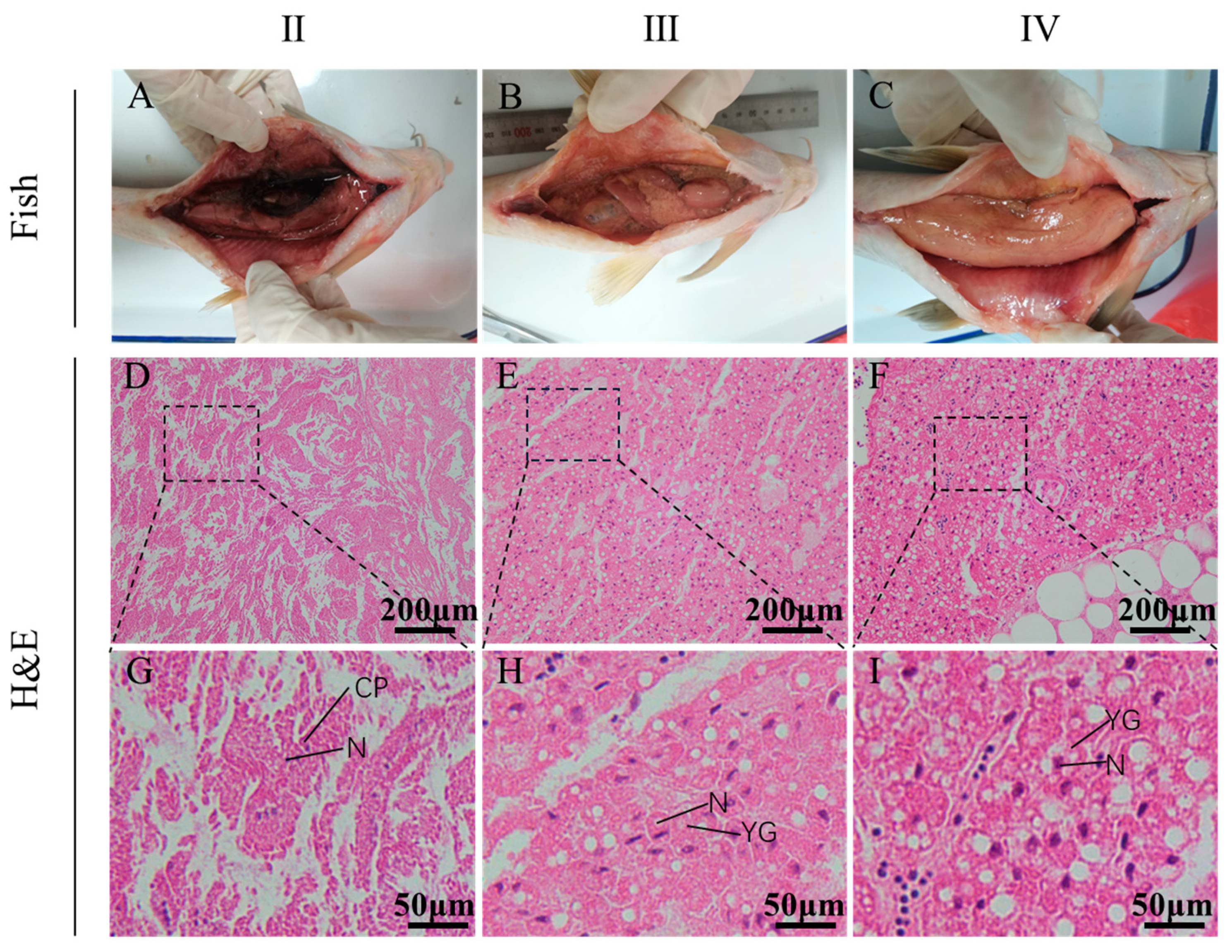Fishes 09 00291 g001